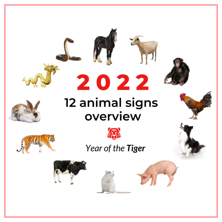 2022 Tiger year animal sign overview with their 12 yearly stars — Picture  Healer - Feng Shui and fortune telling