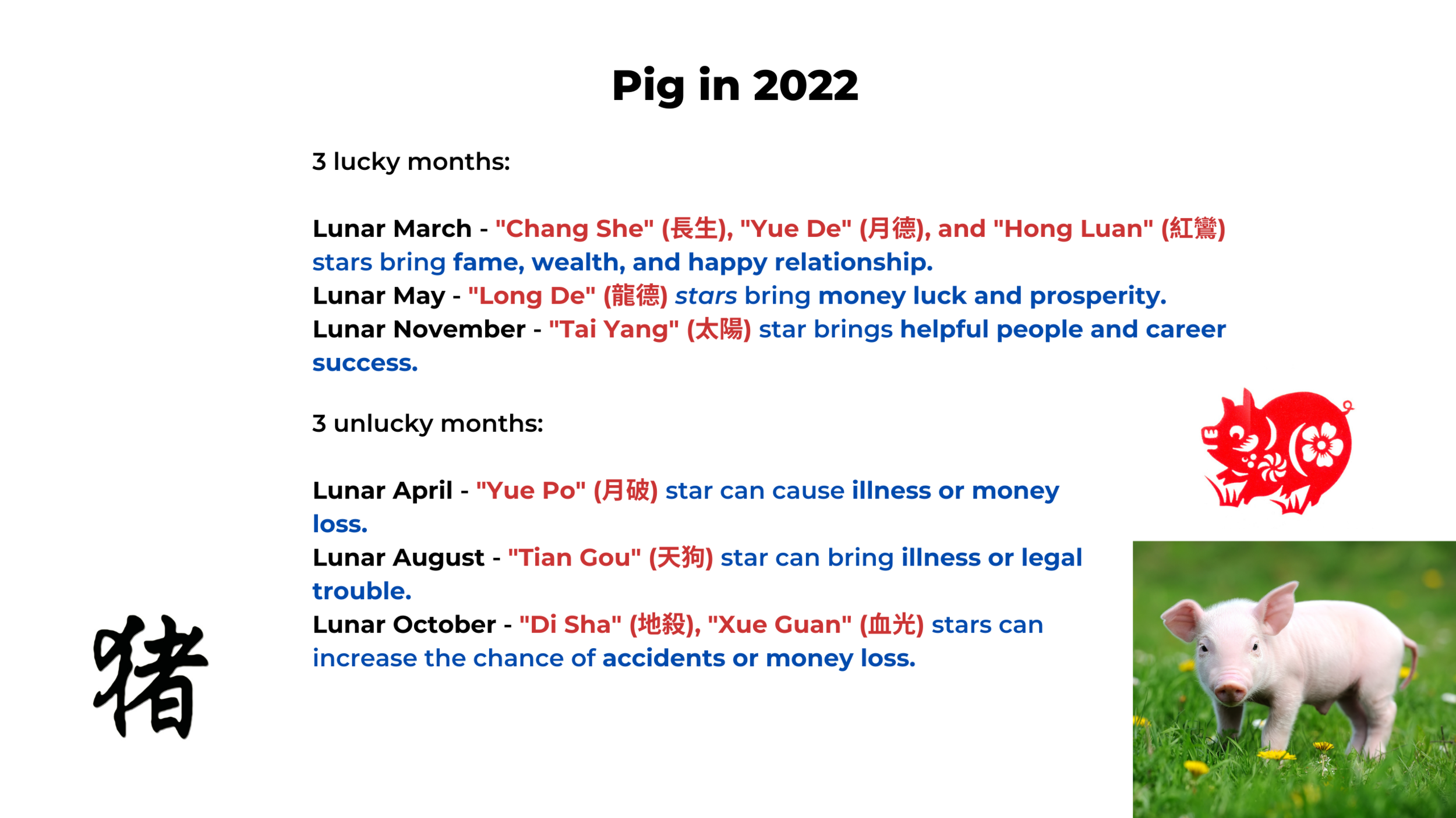 2022 year of the chinese zodiac