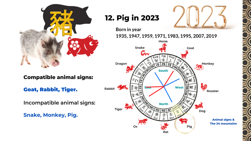 2023 Zodiac Analysis for Rooster, Dog, and Pig - Part 4 of 4 — Picture ...