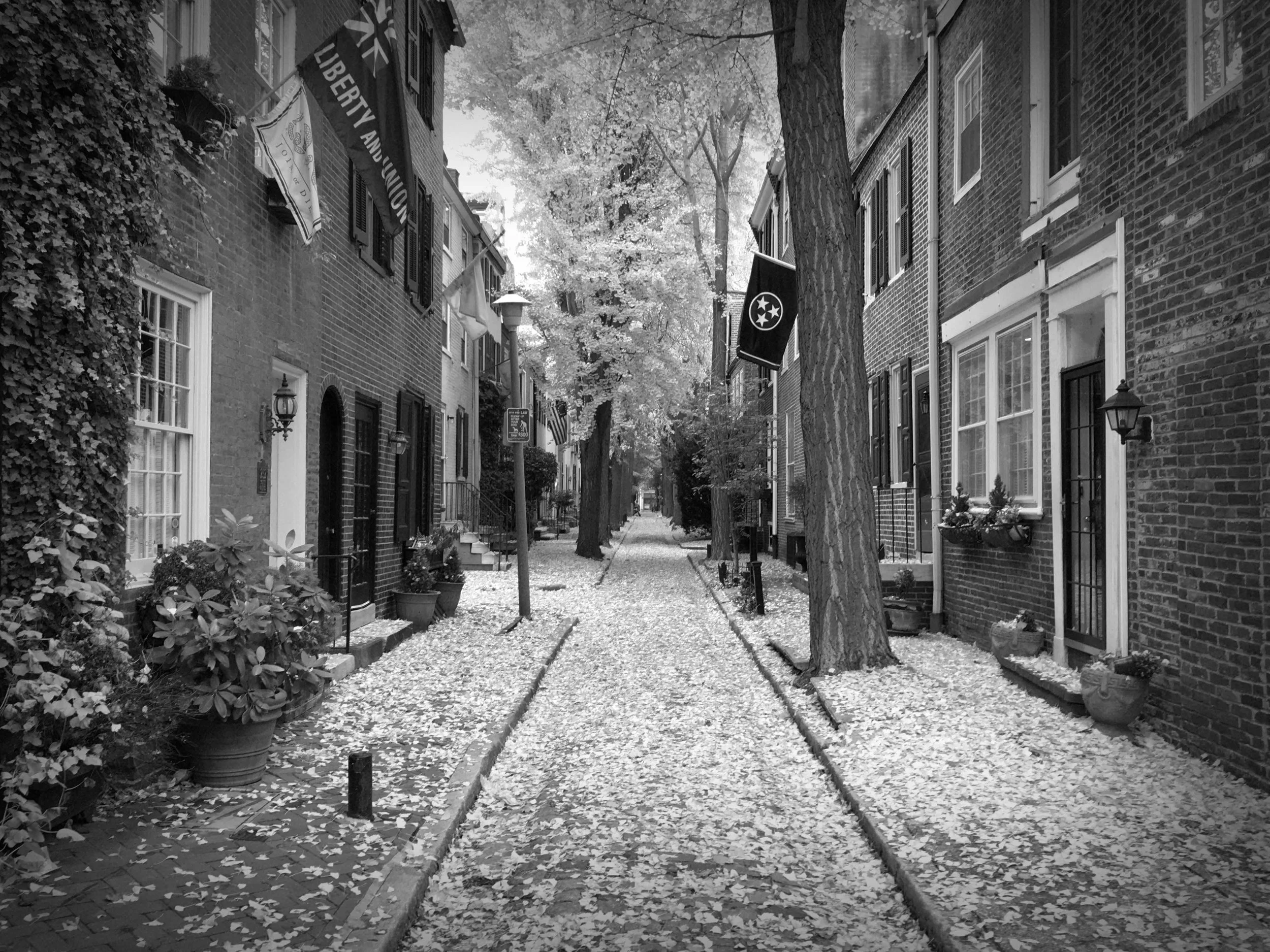 151129 Philly 0234.JPG