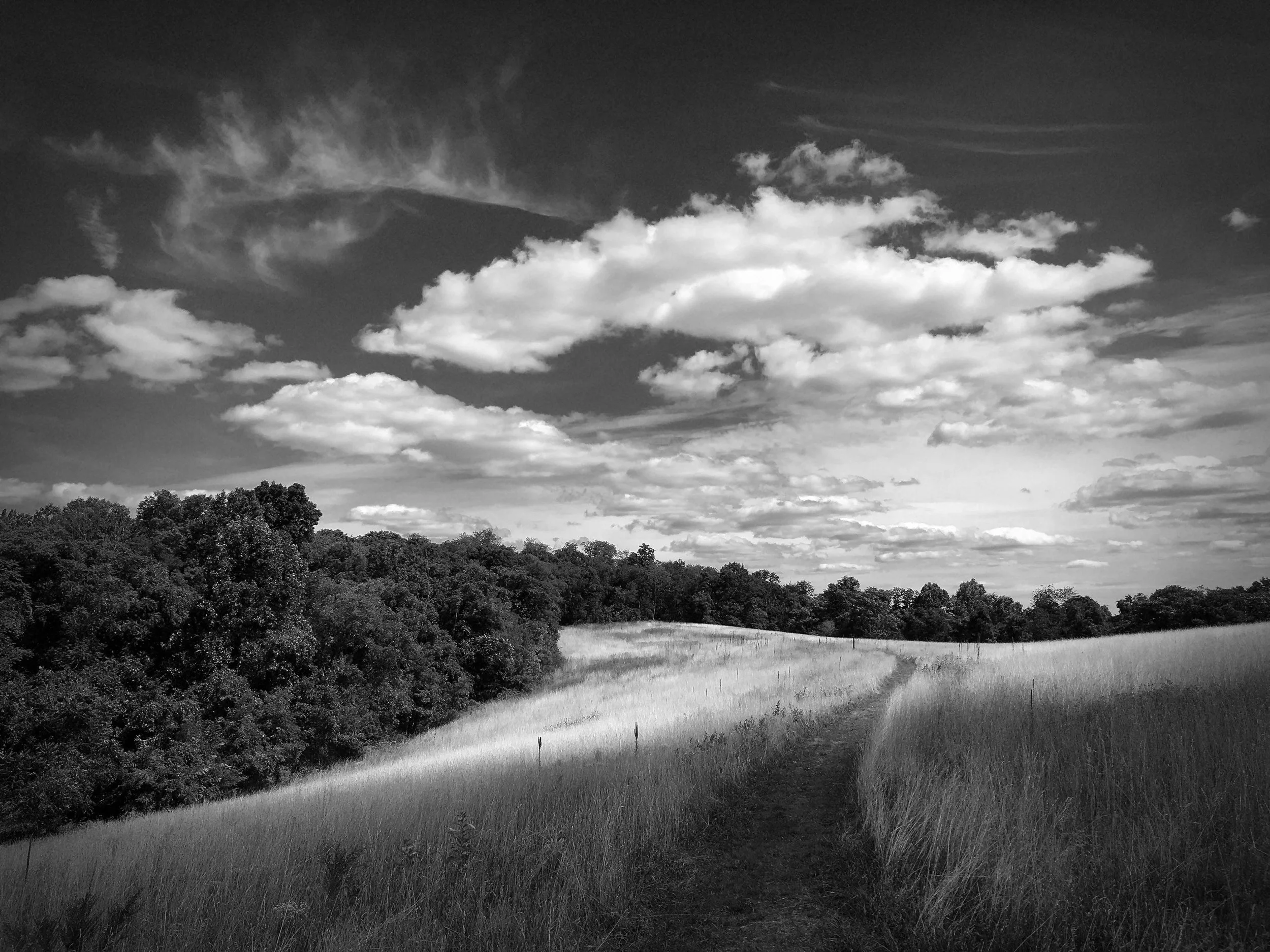 160911 Susquahannock 3591.JPG