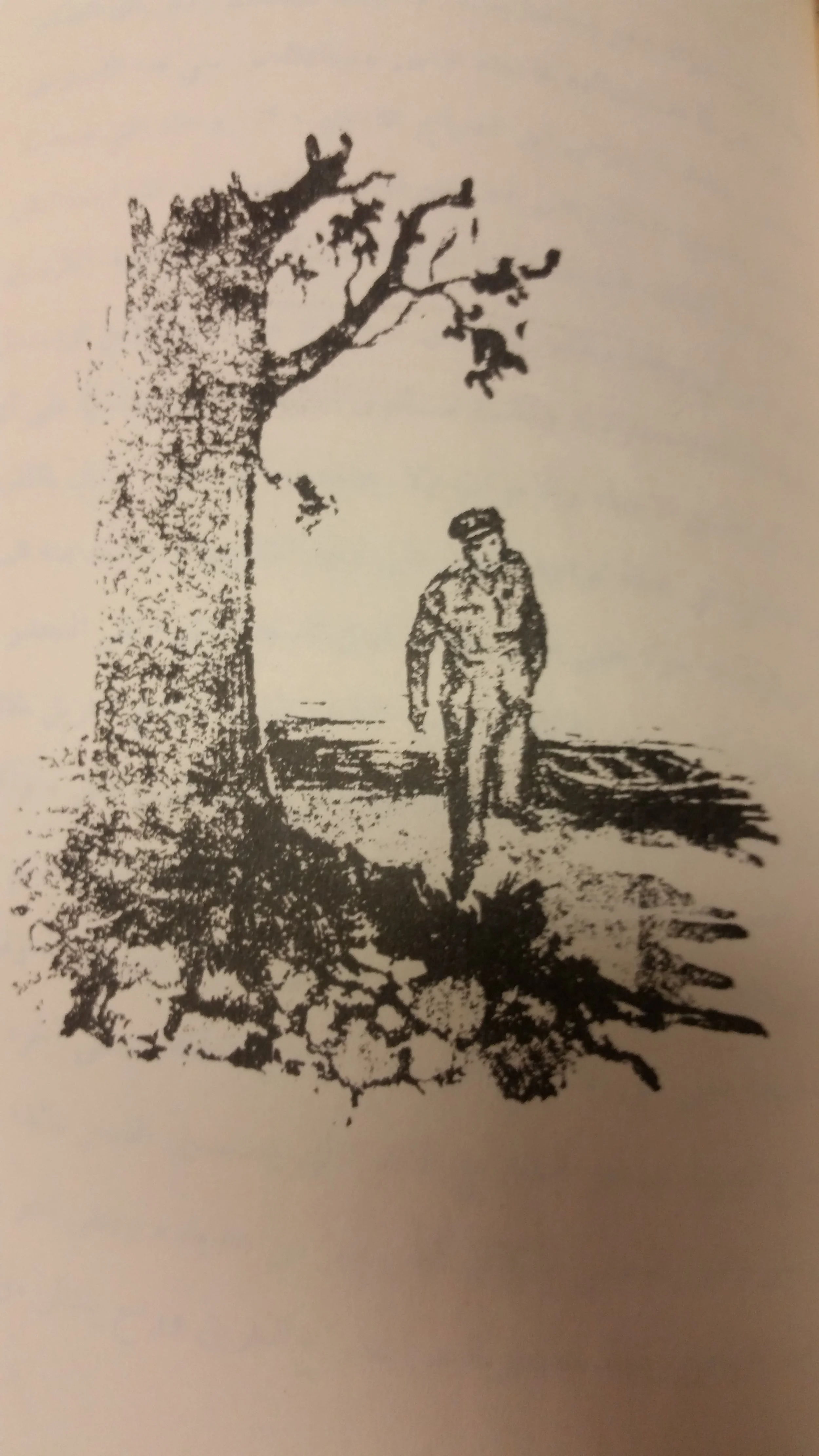 thief and dogs - drawing 15