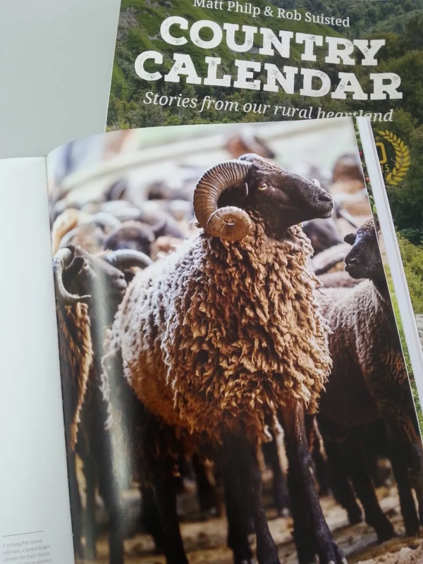 Roger Beattie - A WILD CARD - Country Calendar 2016