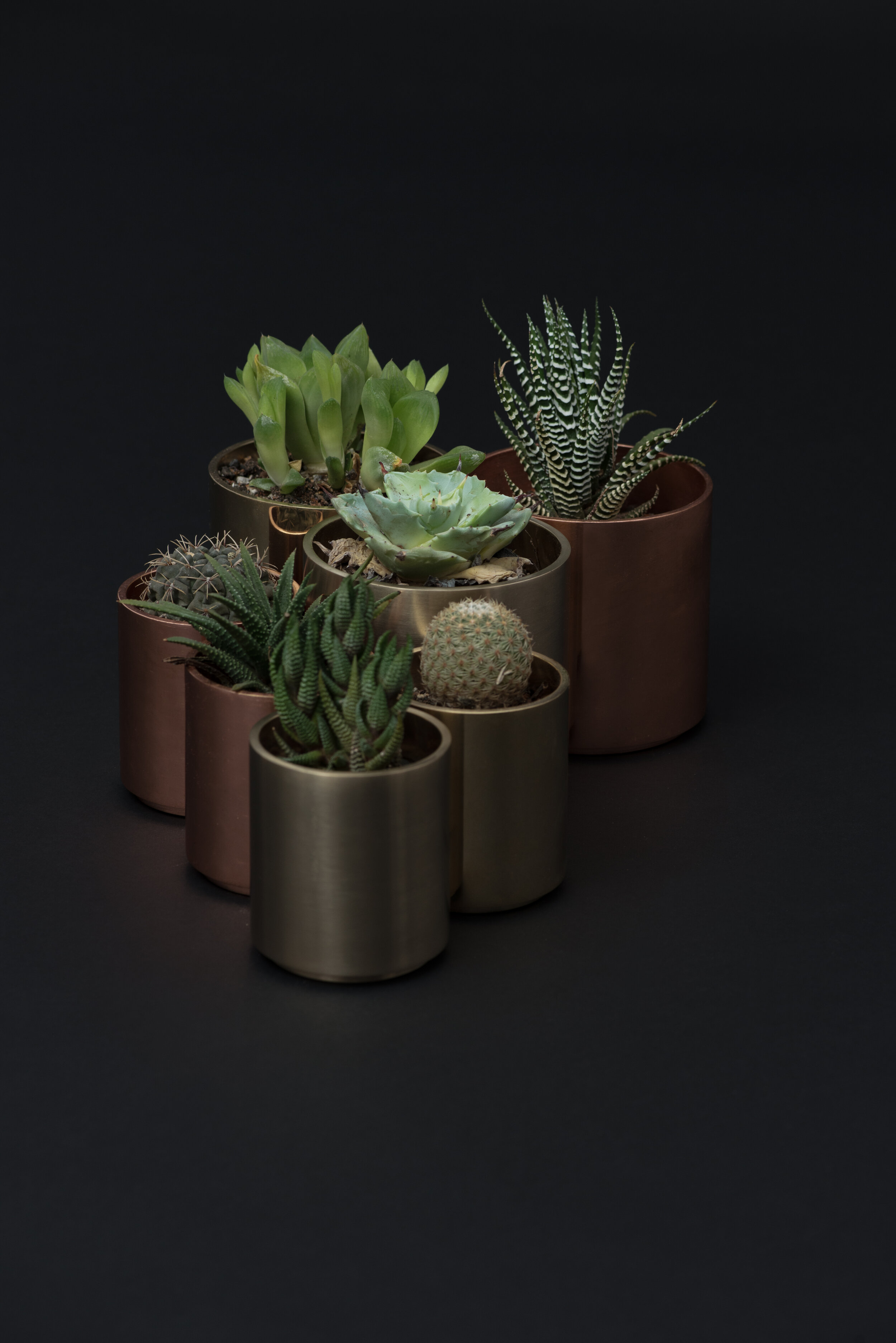 Pots.jpg