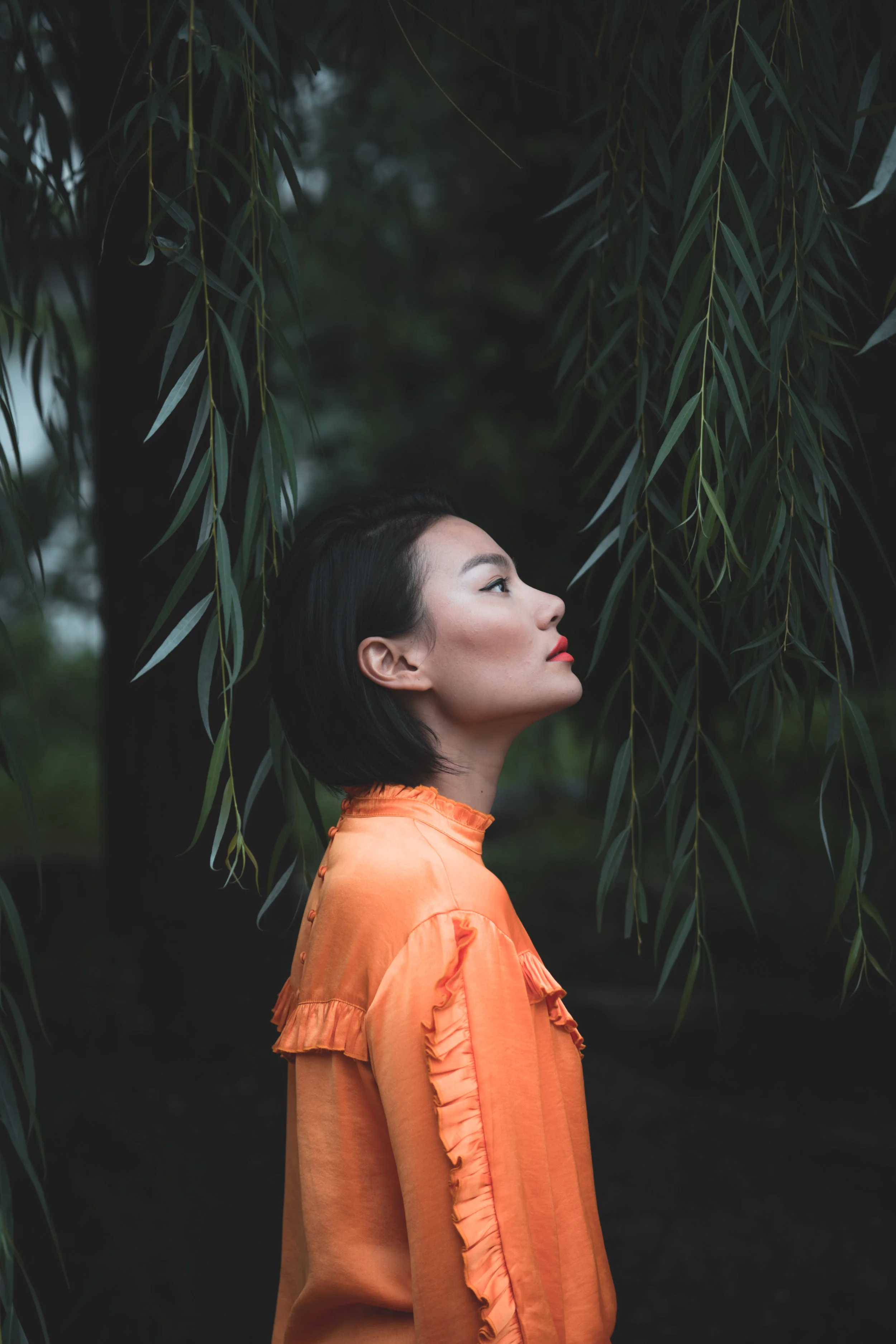 untitled-39.jpg