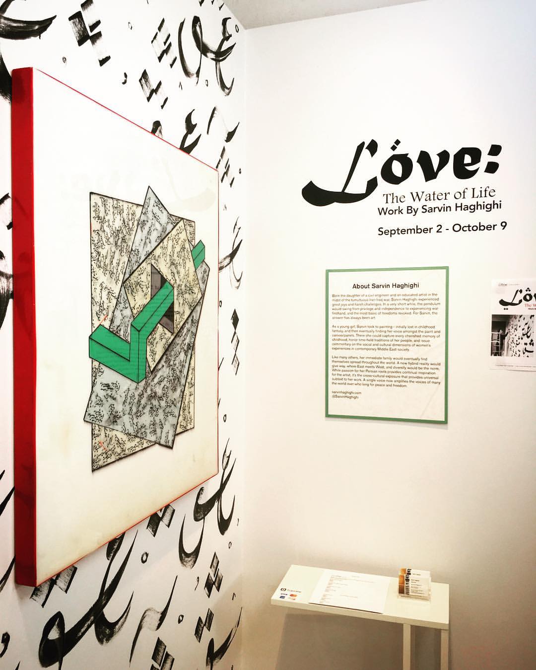 Lillstreet Solo Exhibition - September 2016