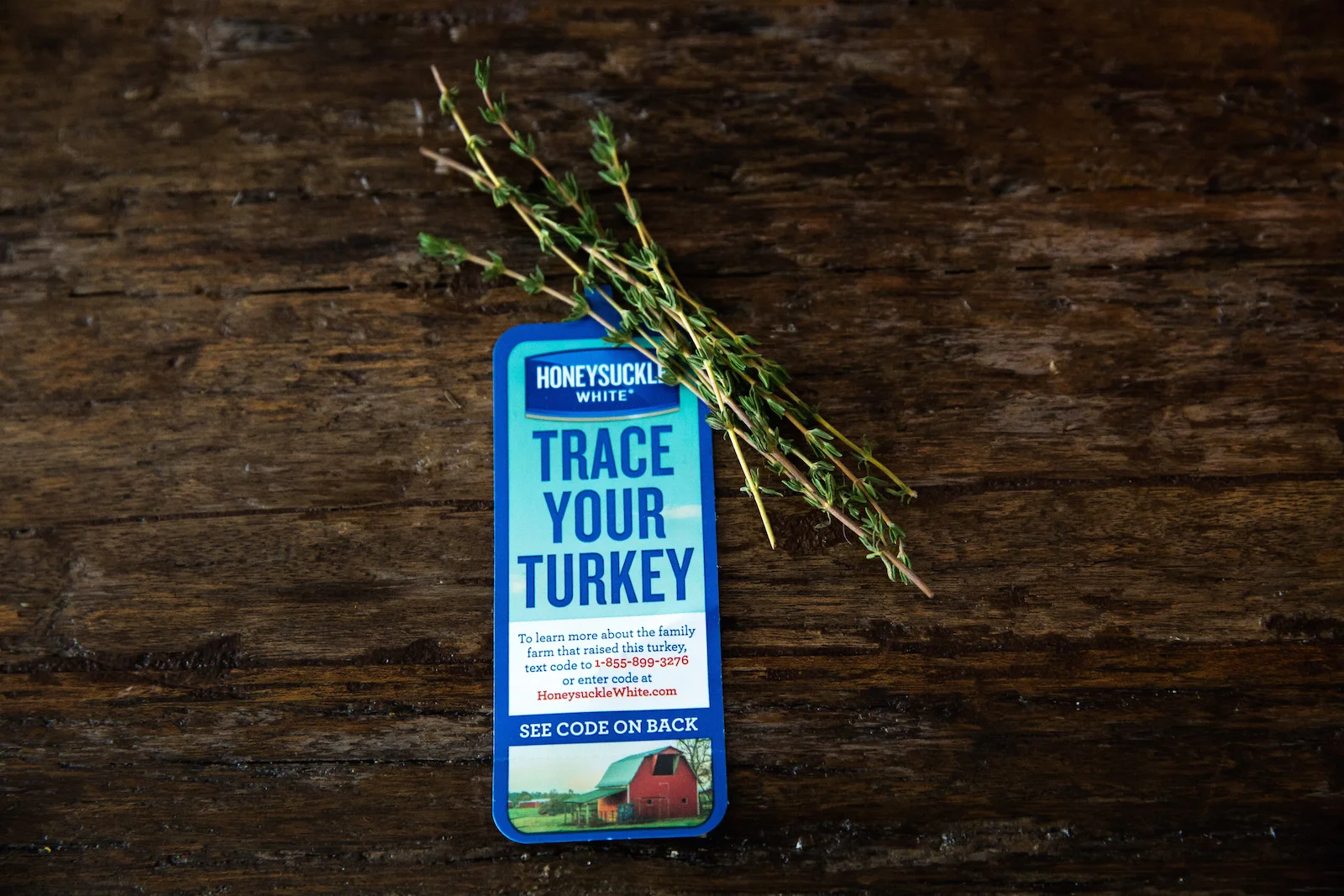 GobbleGobble-17.jpg