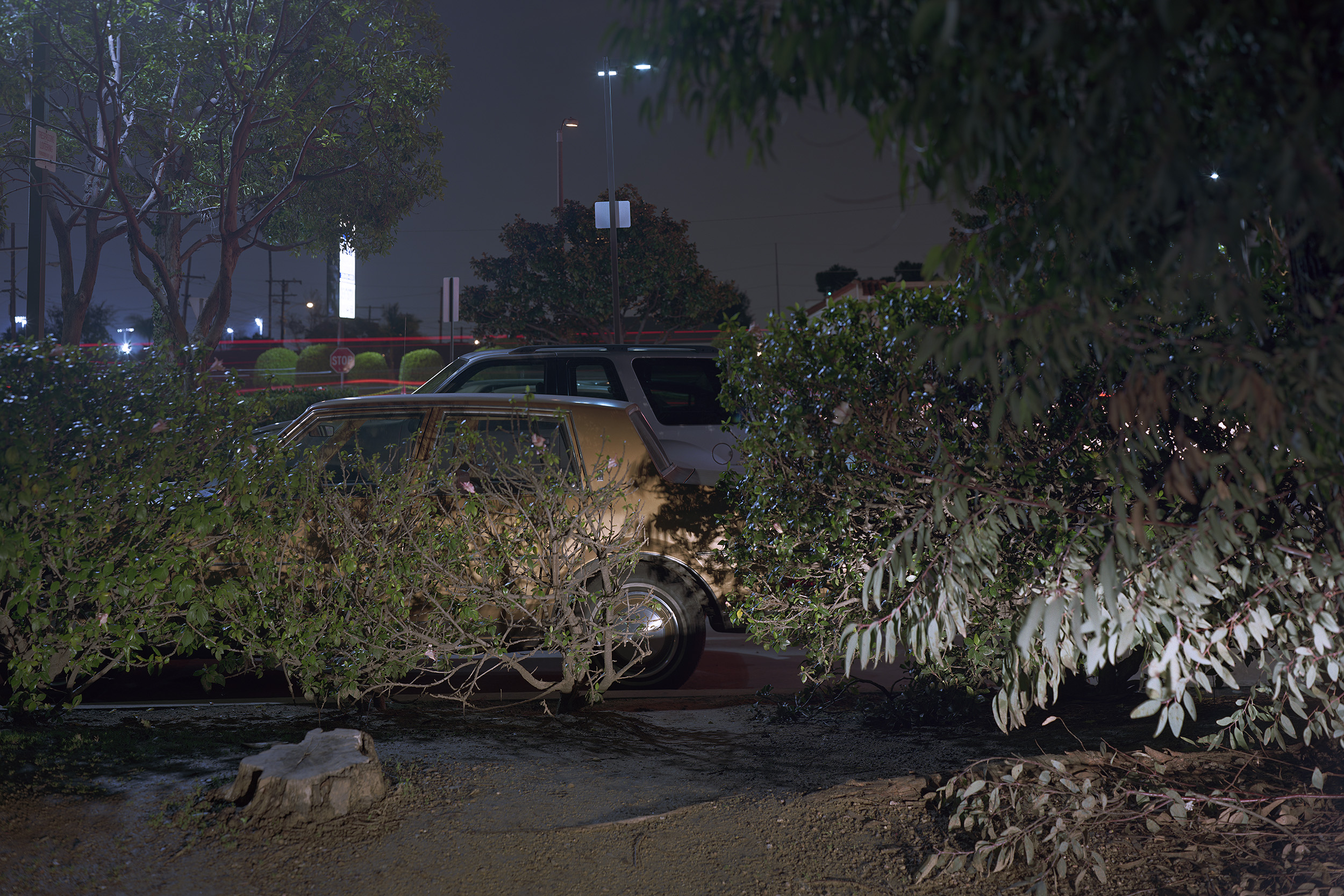 Back Parking Lot #3
