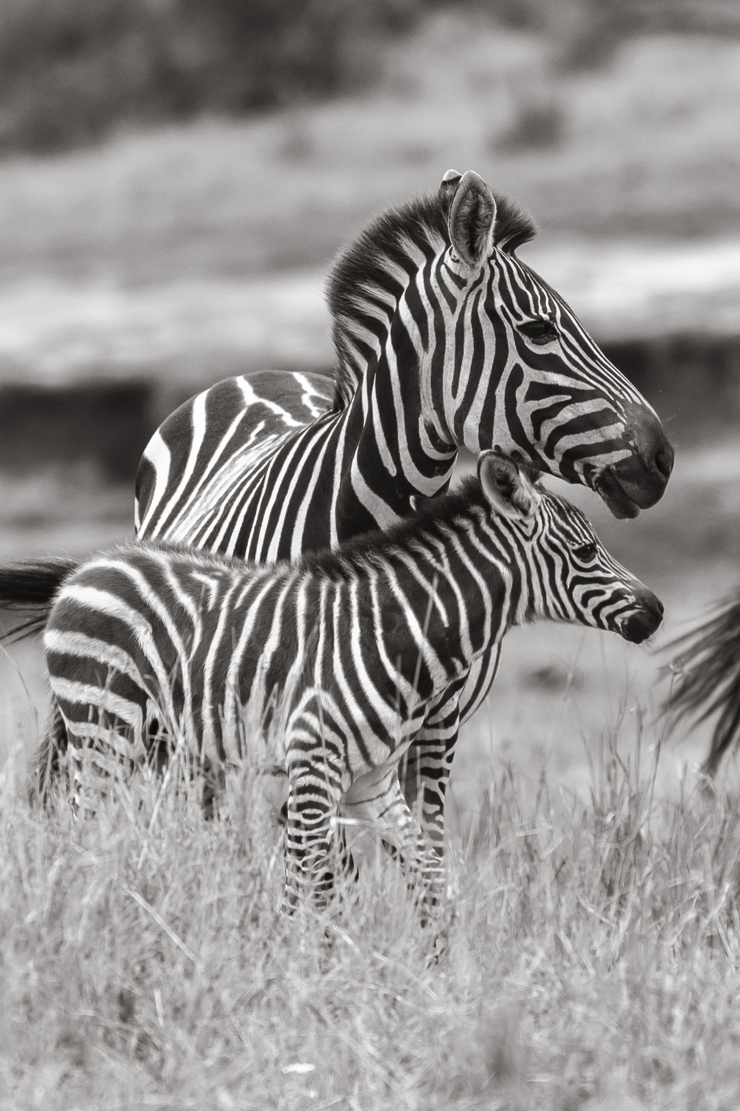 CDR_09272019_Tanzania_0407_tanzania_.jpg