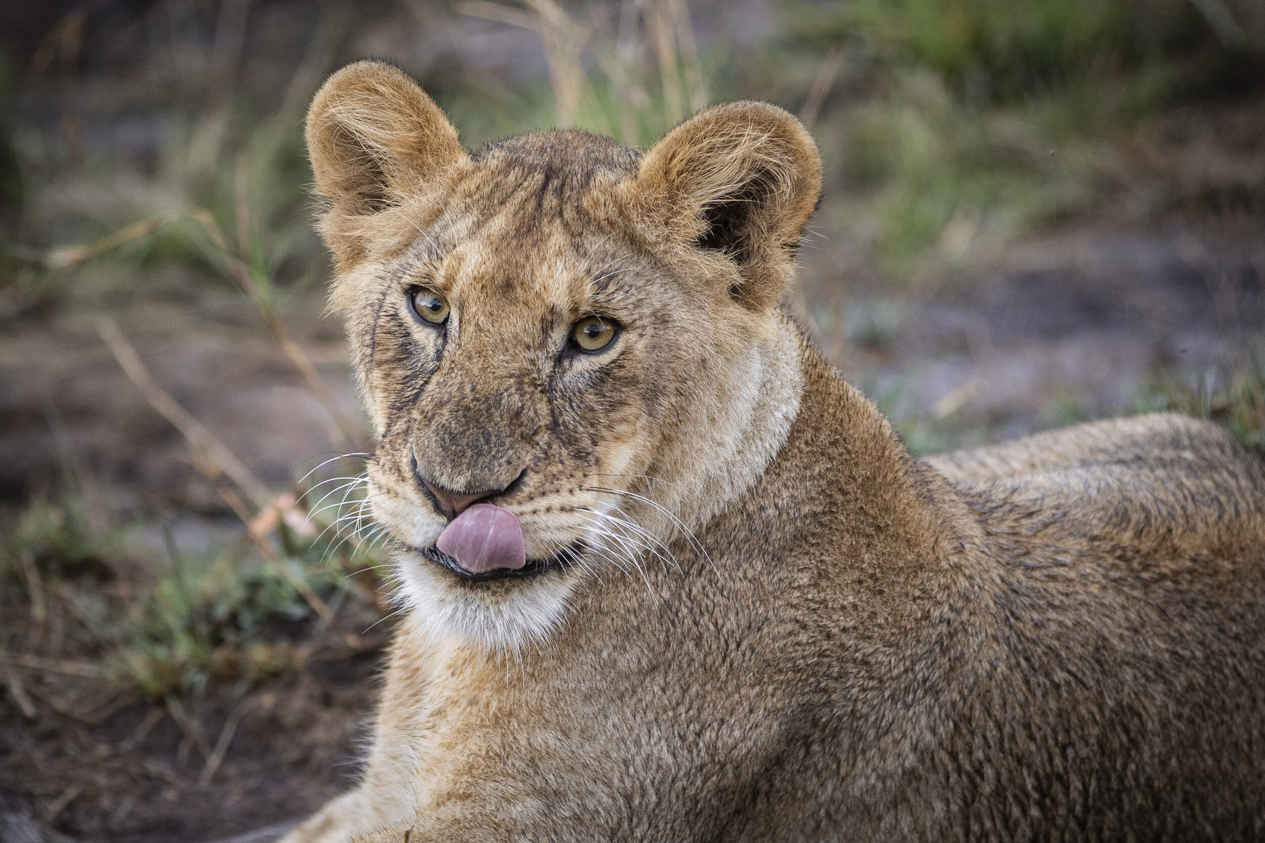 CDR_09272019_Tanzania_3755_tanzania_.jpg