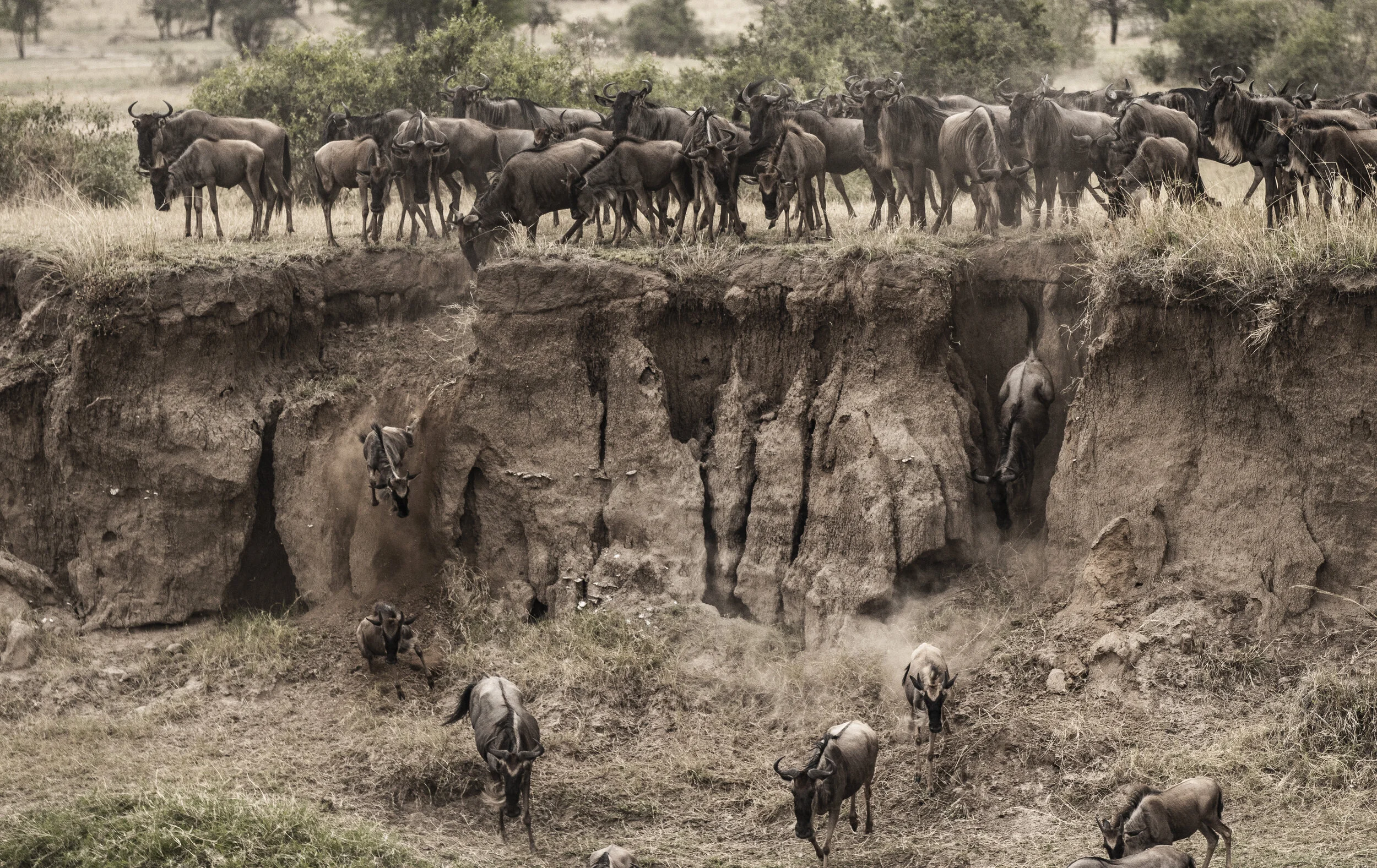 CDR_09272019_Tanzania_0871_tanzania_.jpg