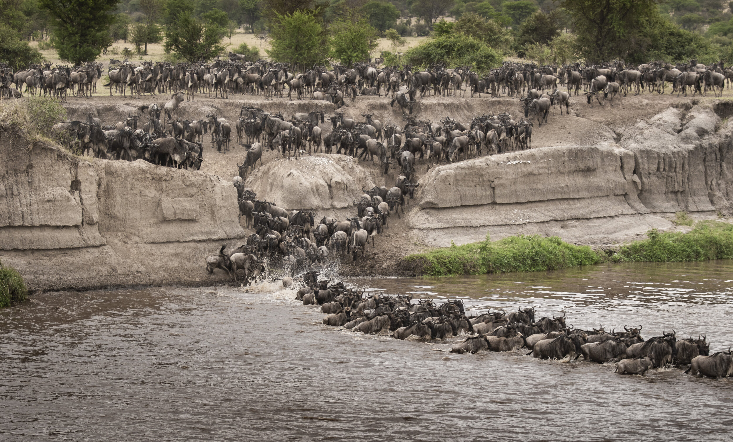 CDR_09272019_Tanzania_0533_tanzania_.jpg