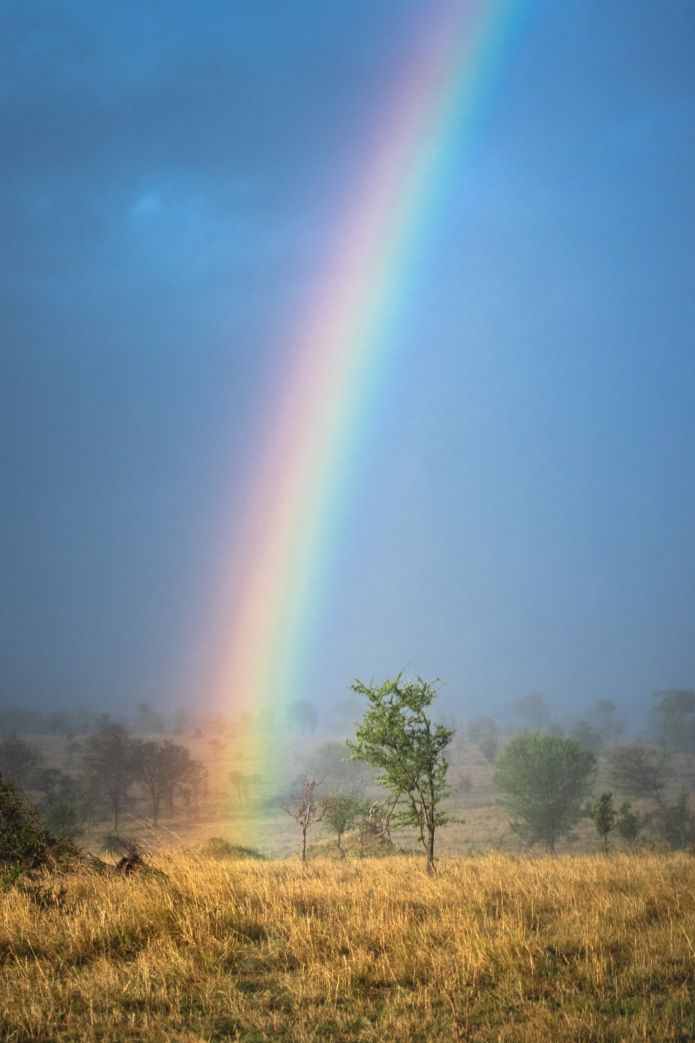 CDR_09282019_Tanzania_1848_rainbow.jpg