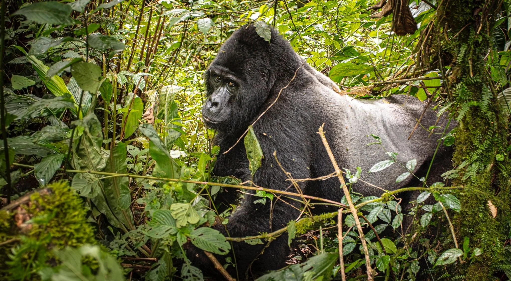 48605f60-3673-40d5-ad15-2a9f403561f7 2.JPG