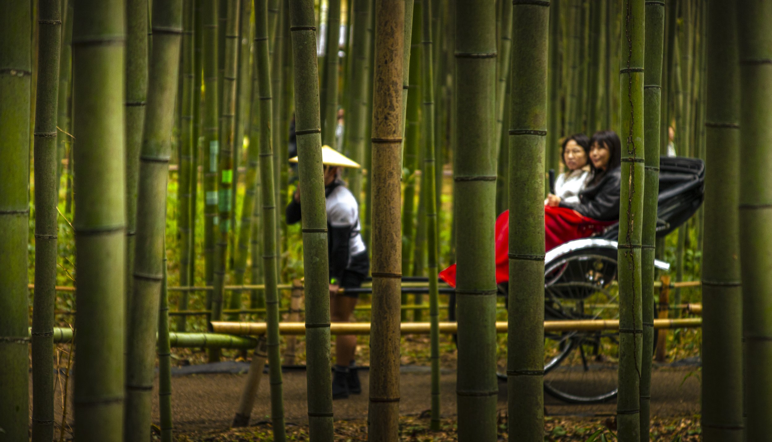 CDR_03122025_0101_Kyoto_kyoto.jpg