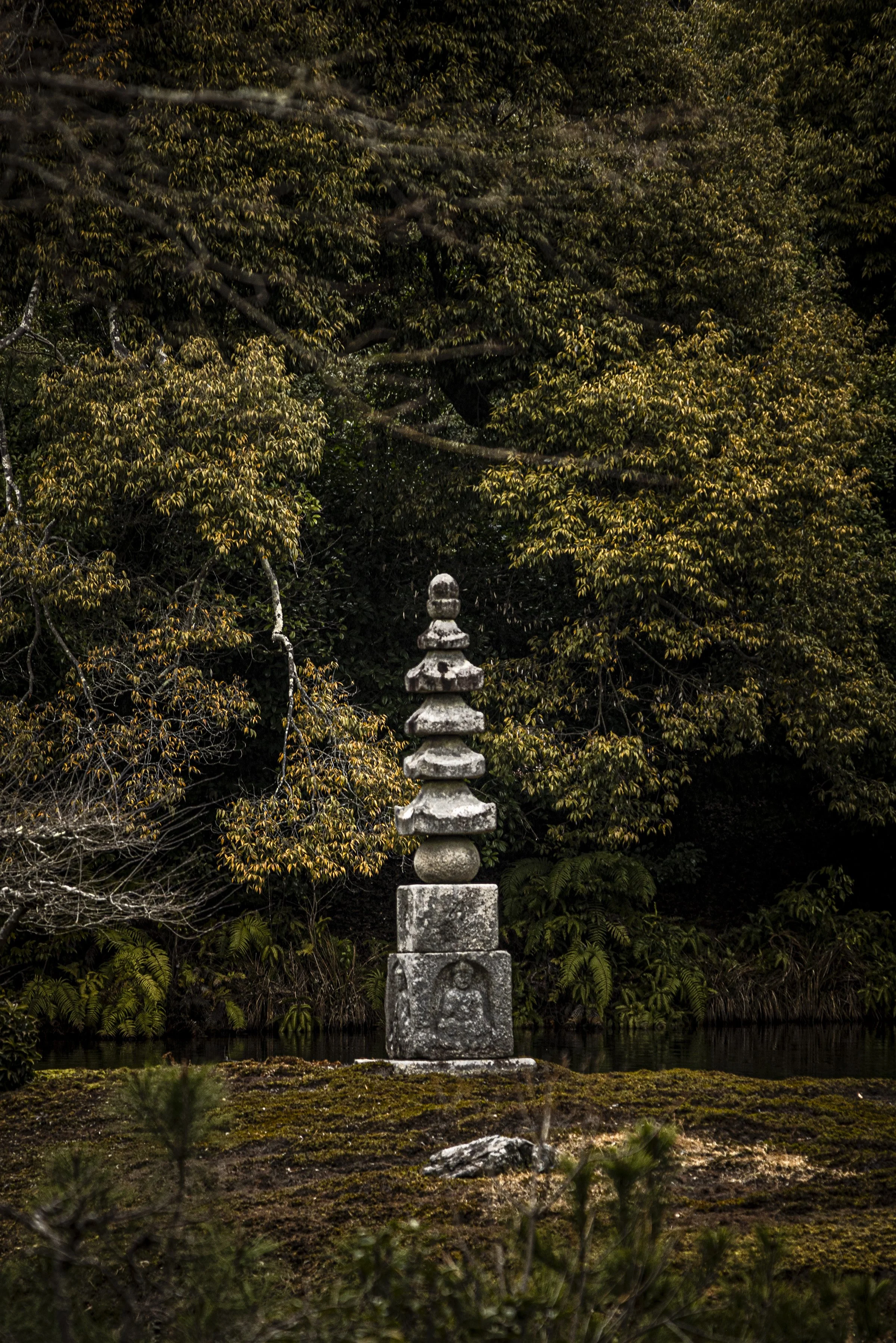 CDR_03122025_0718_Kyoto_kyoto.jpg