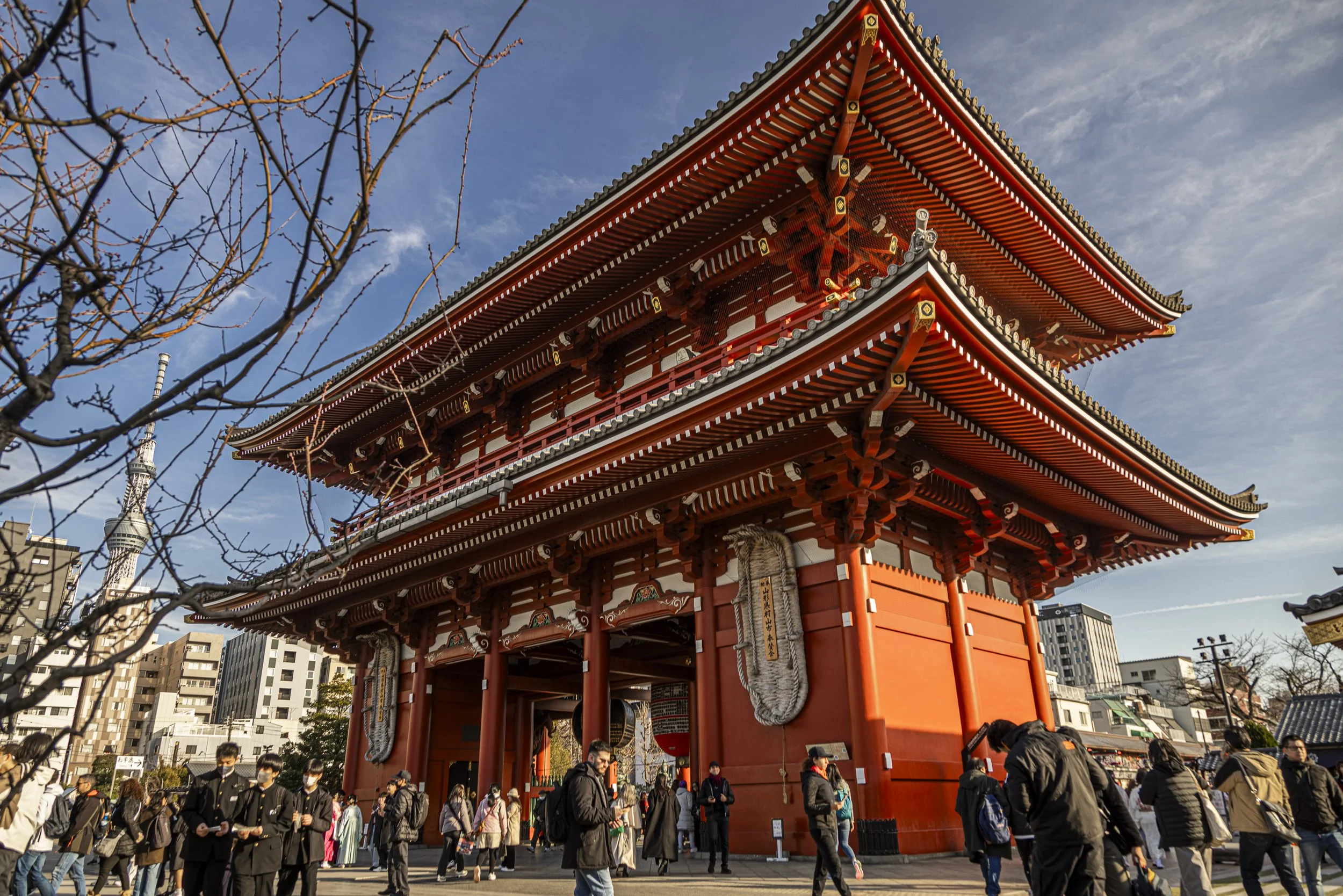 CDR_03102025_0065_Tokyo.jpg
