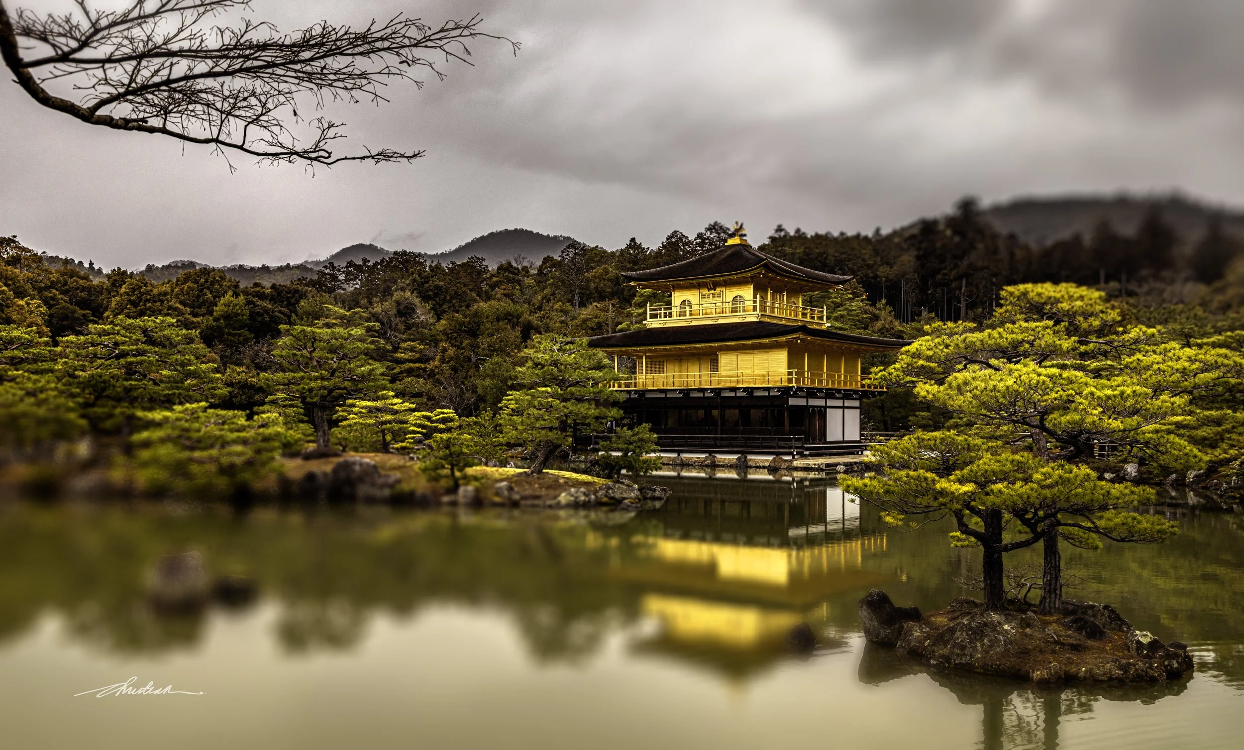 CDR_03122025_0476_Kyoto_Kinkakuji copy.jpg