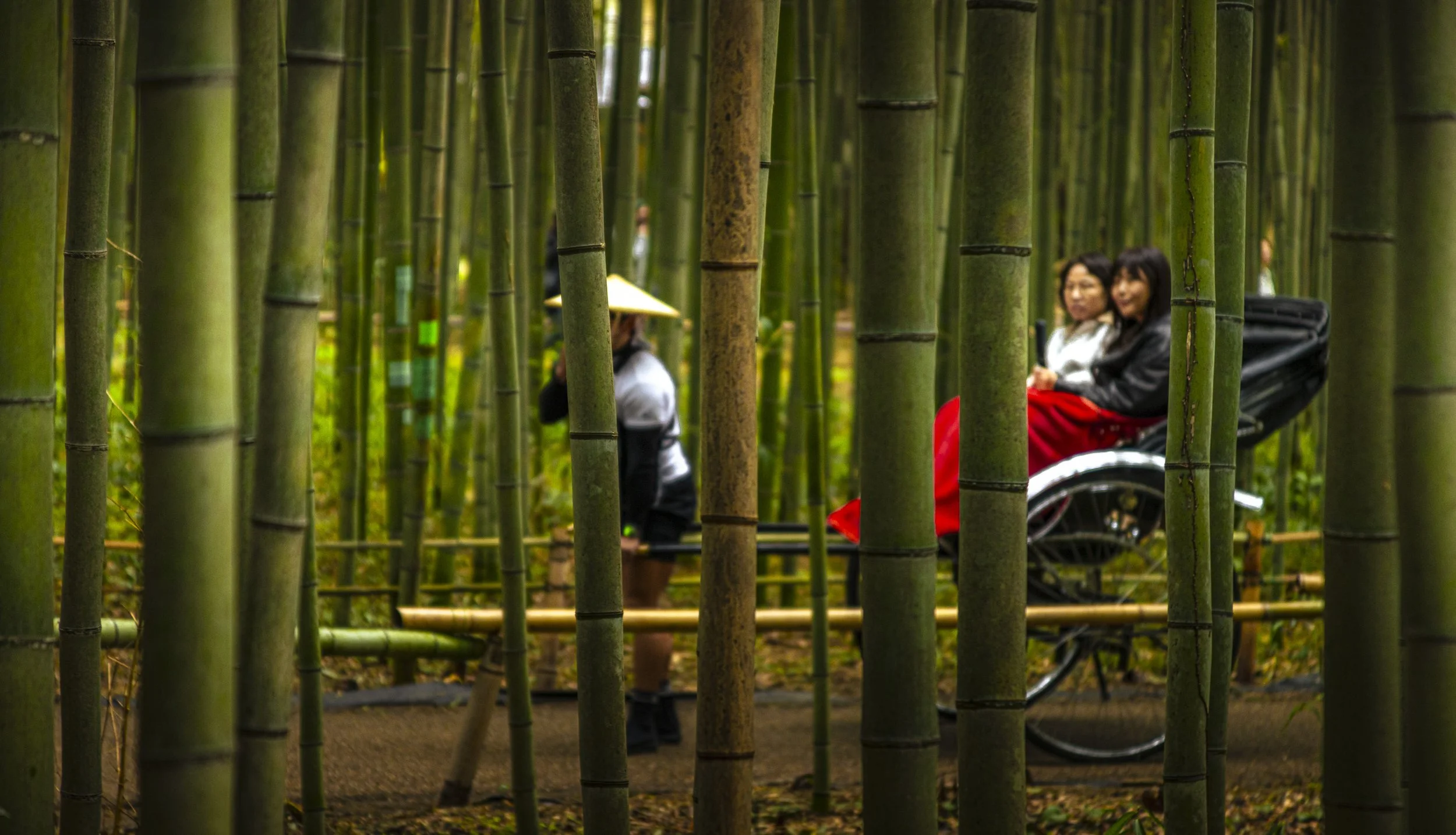 CDR_03122025_0101_Kyoto_kyoto.jpg