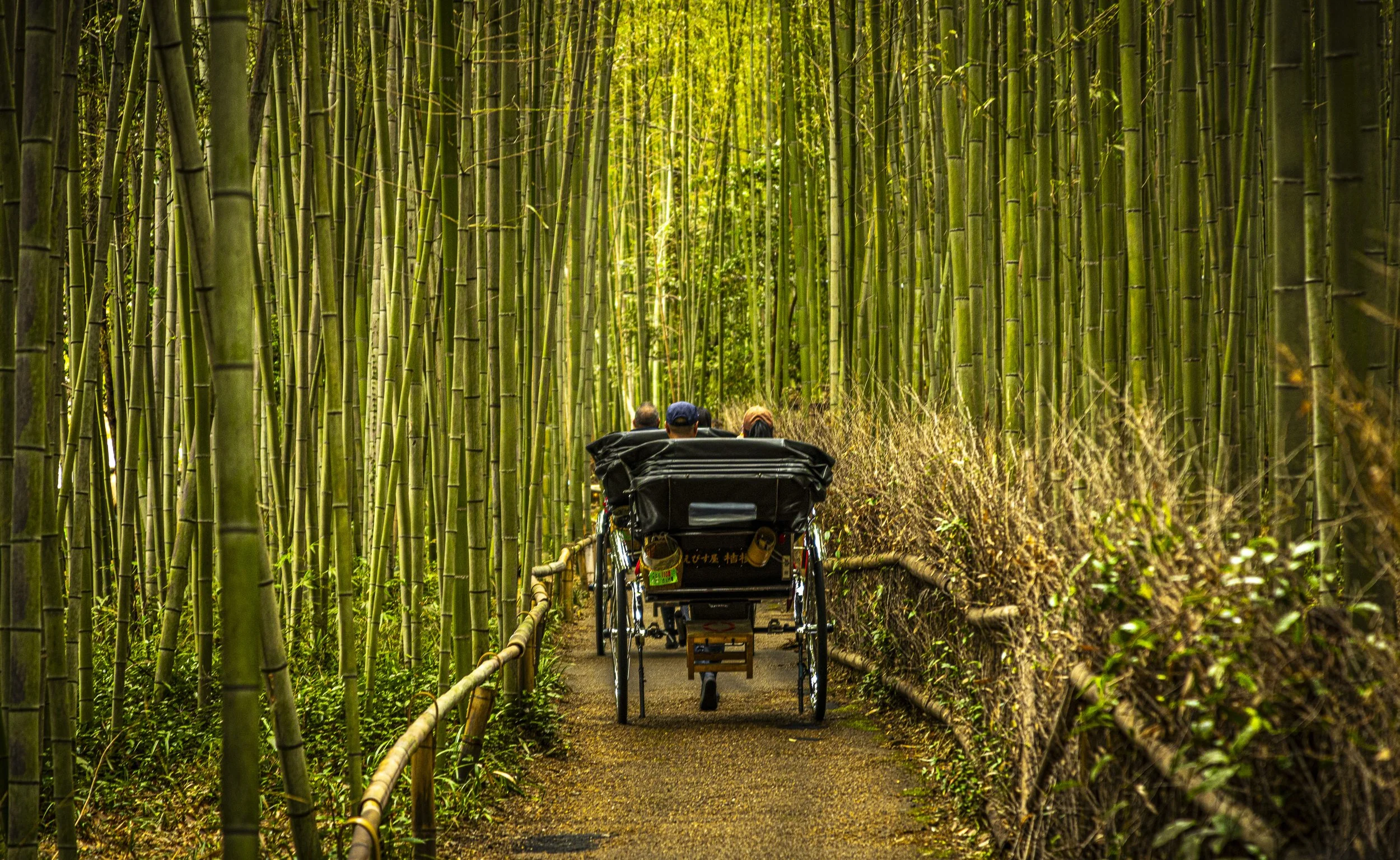 CDR_03122025_0050_Kyoto_kyoto.jpg