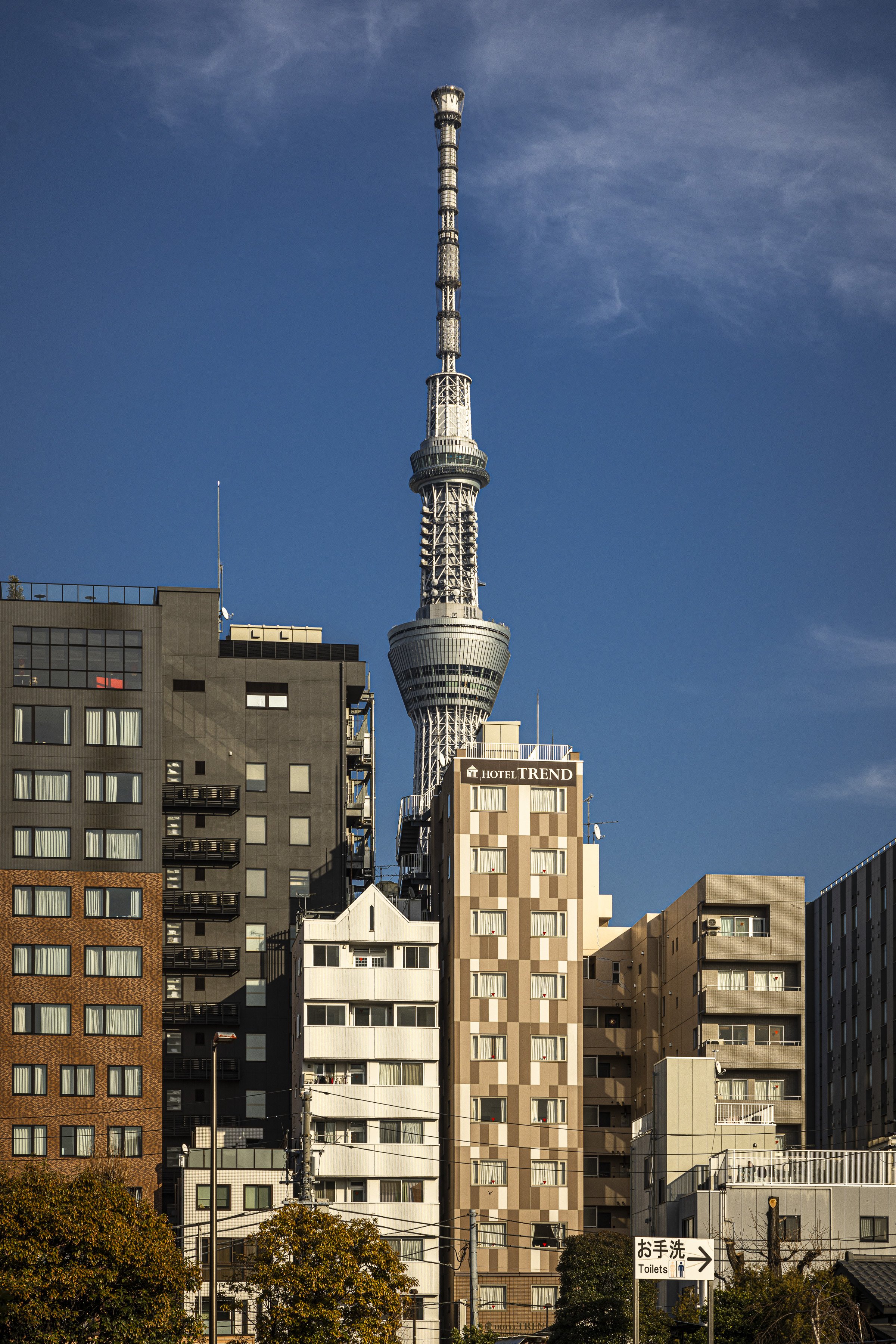 CDR_03102025_0026_Tokyo.jpg