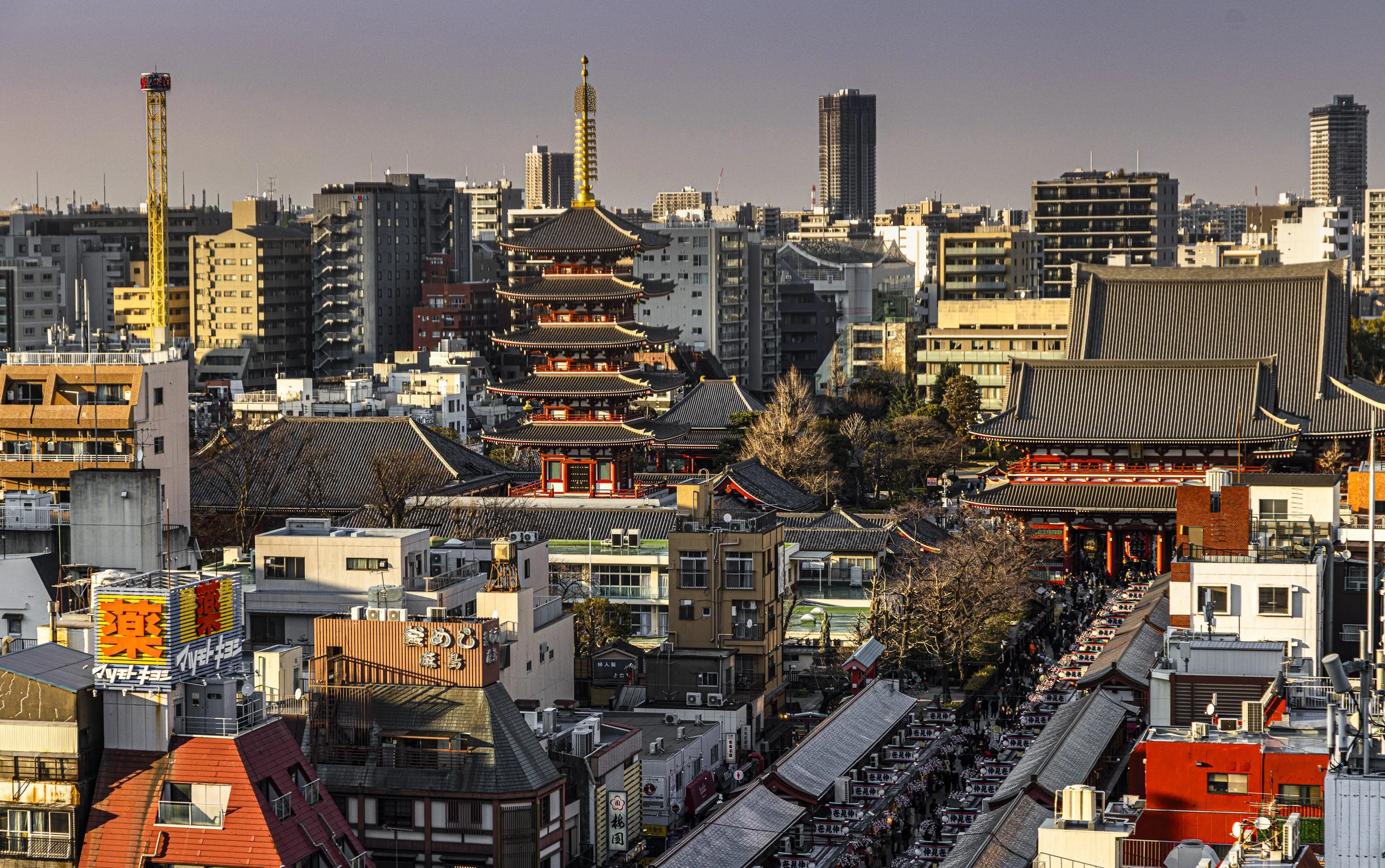 CDR_03102025_0150_Tokyo_tokyo.jpg