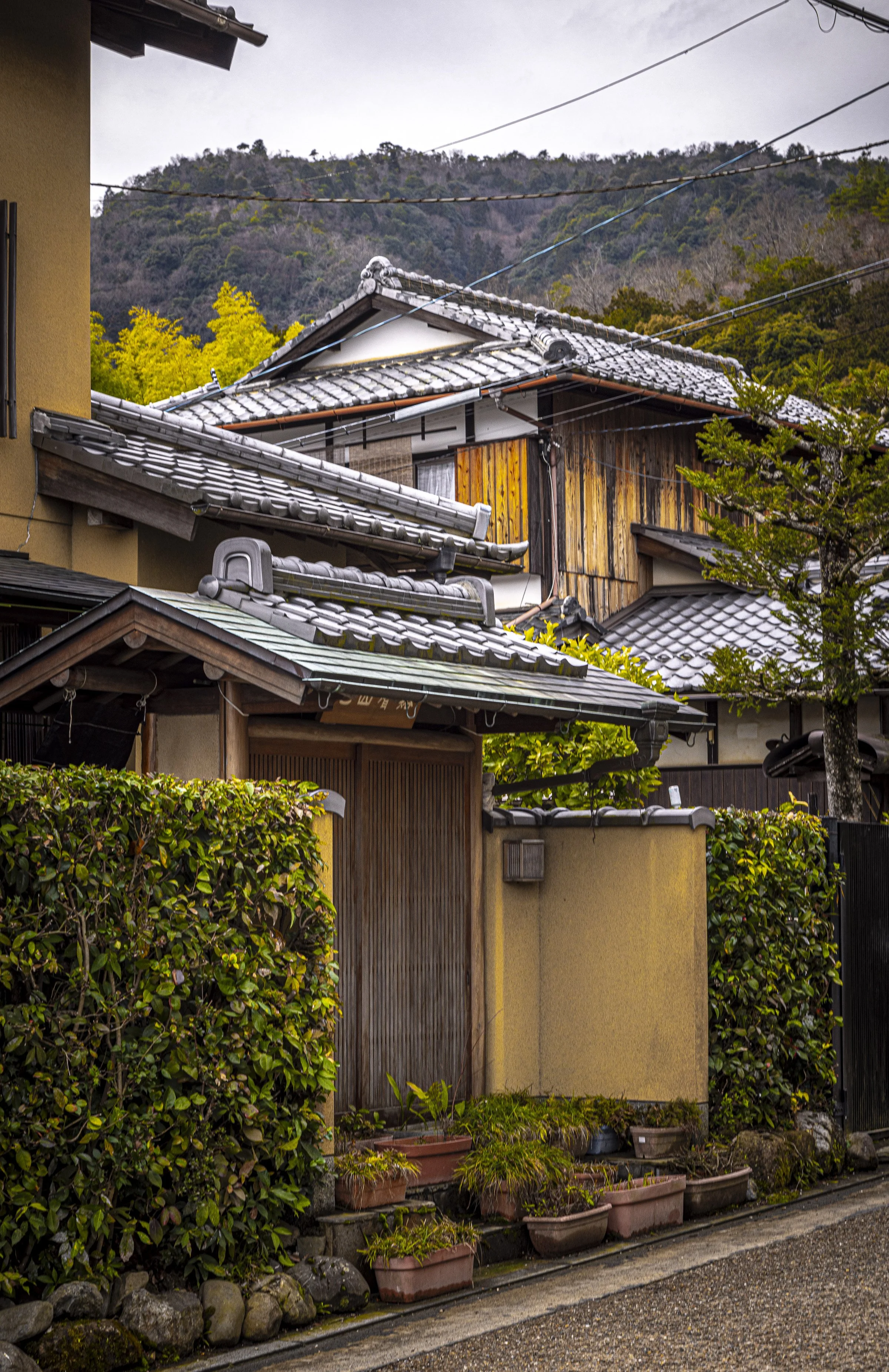 CDR_03122025_0164_Kyoto_kyoto.jpg