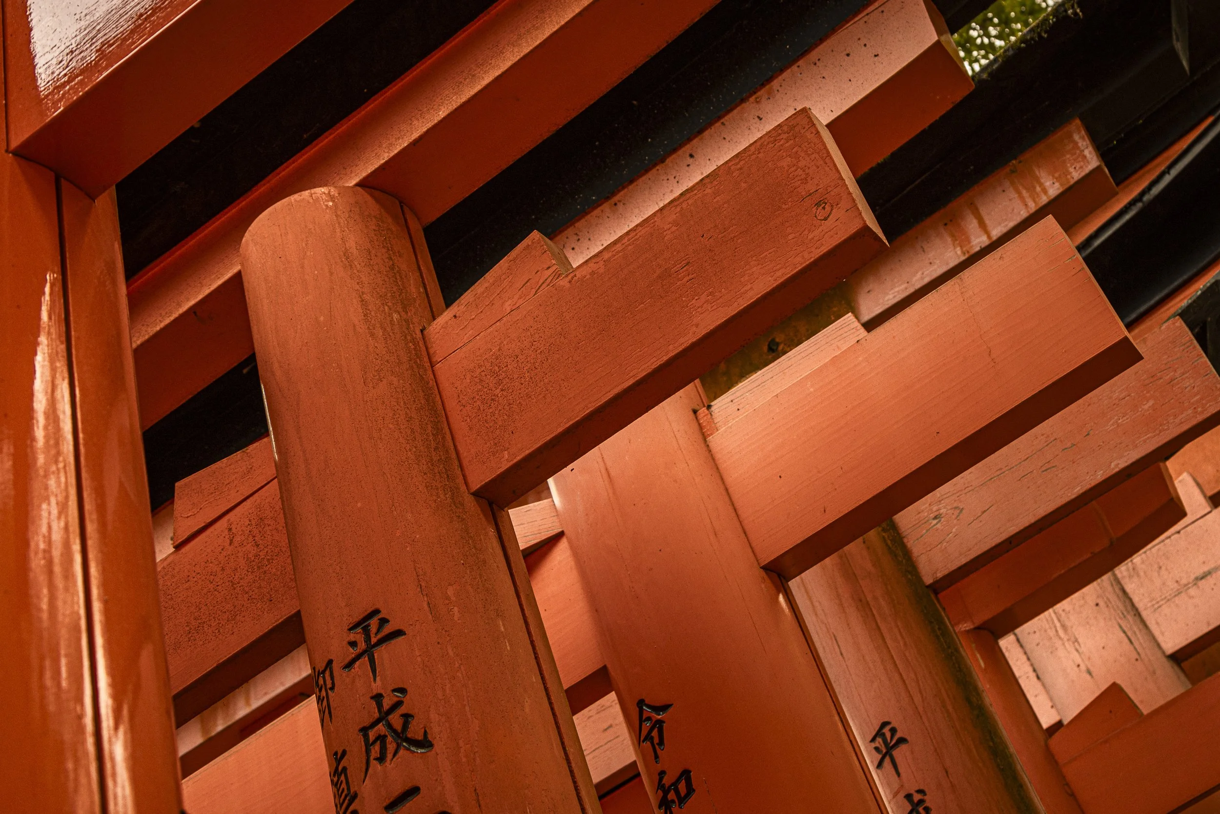 CDR_03132025_0135_Kyoto_kyoto.jpg