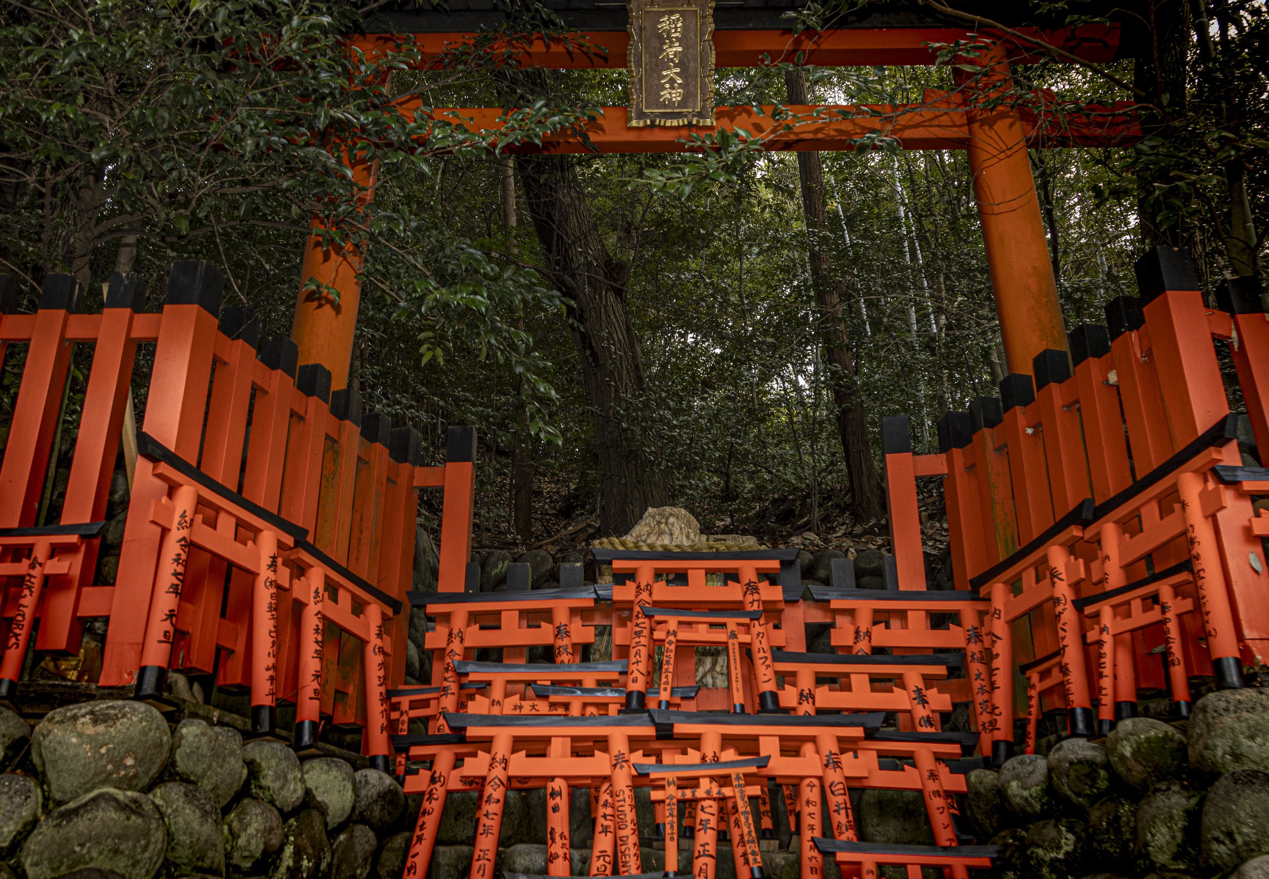 CDR_03132025_0106_Kyoto_kyoto.jpg
