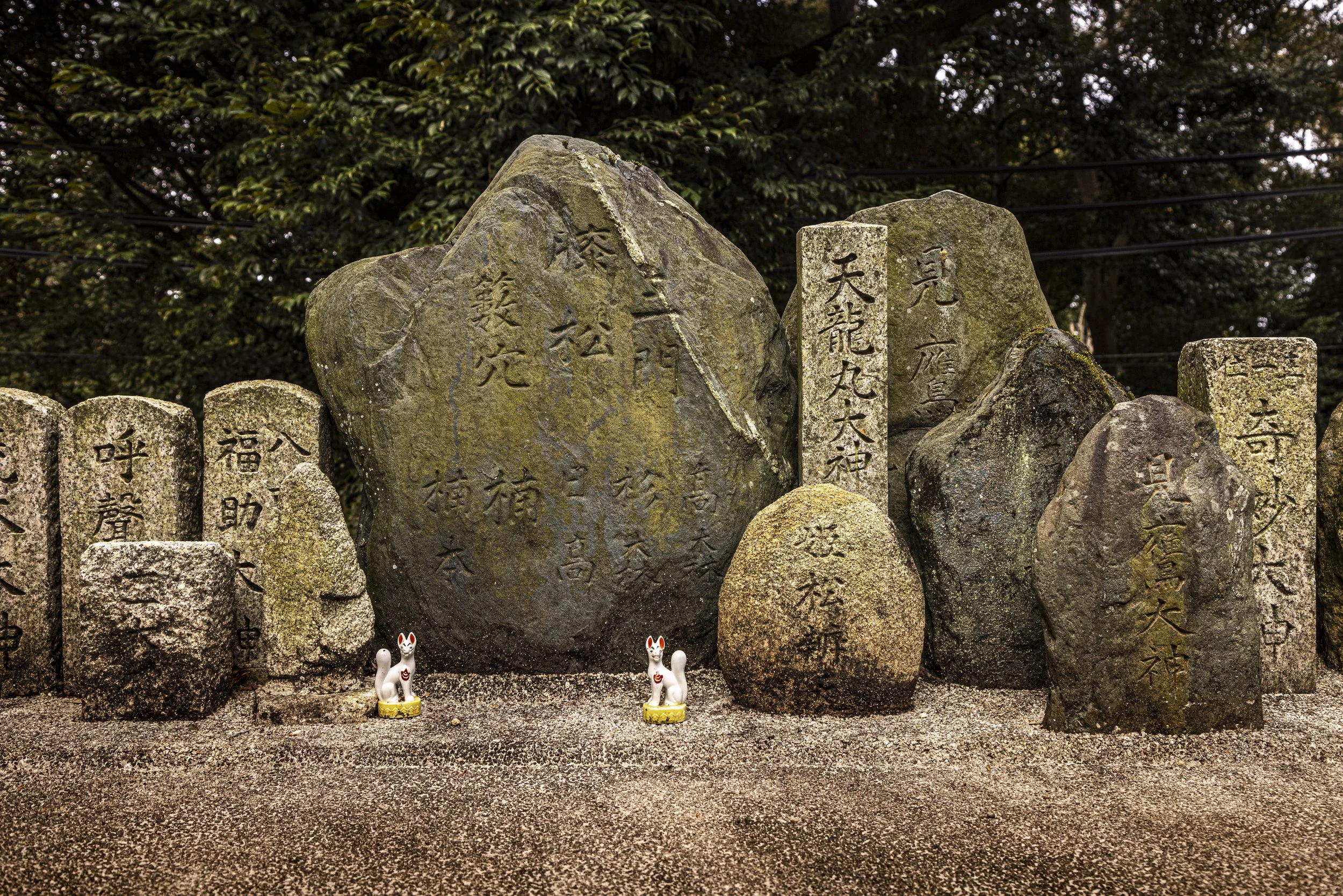 CDR_03132025_0125_Kyoto_kyoto.jpg