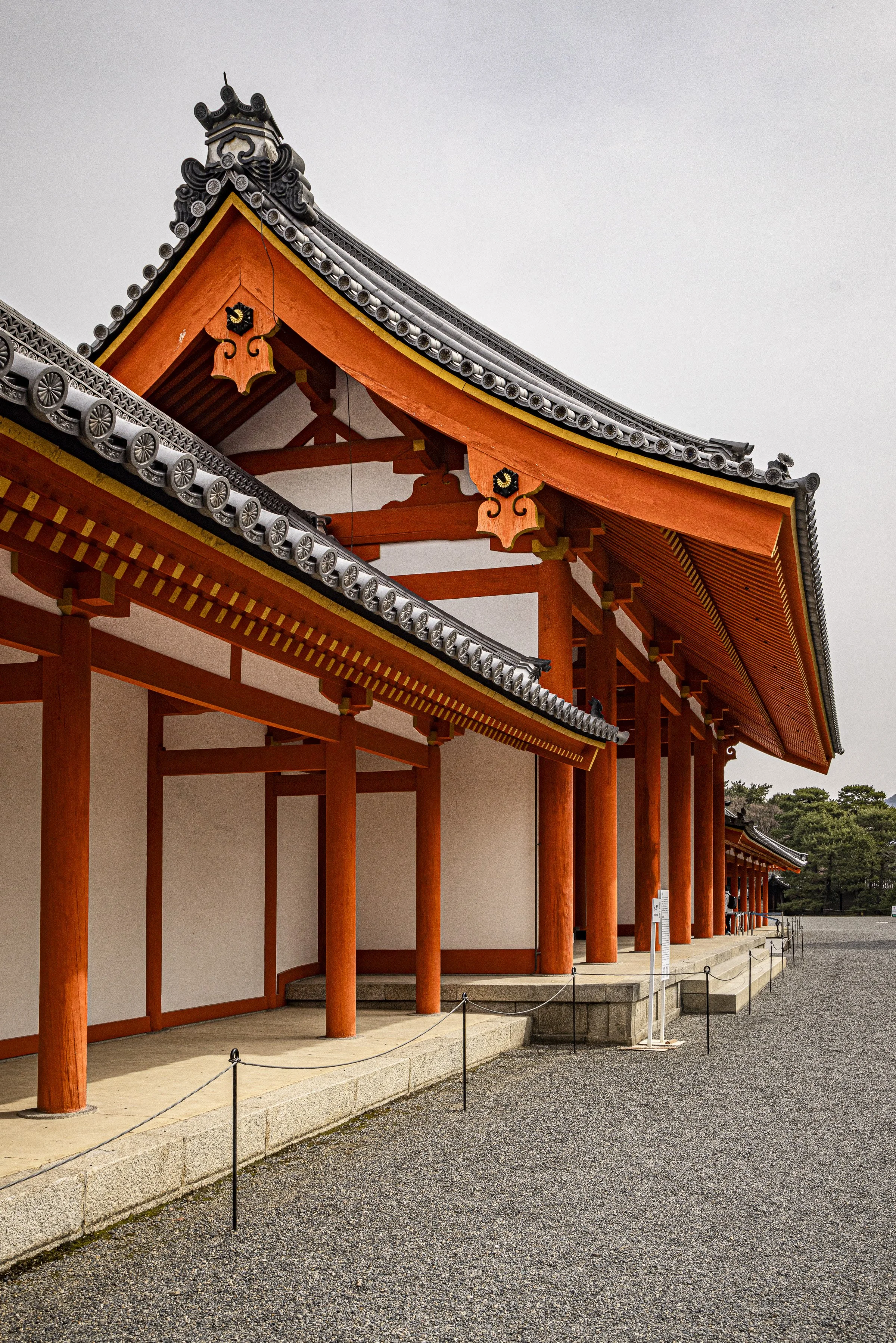 CDR_03132025_0308_Kyoto_kyoto.jpg