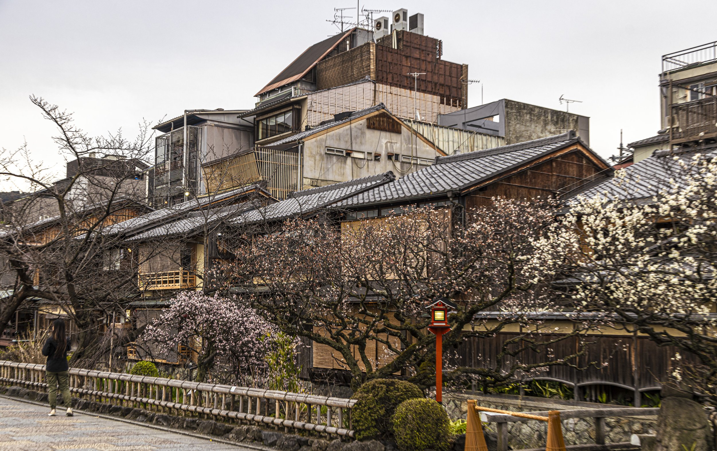 CDR_03132025_0790_Kyoto_kyoto.jpg