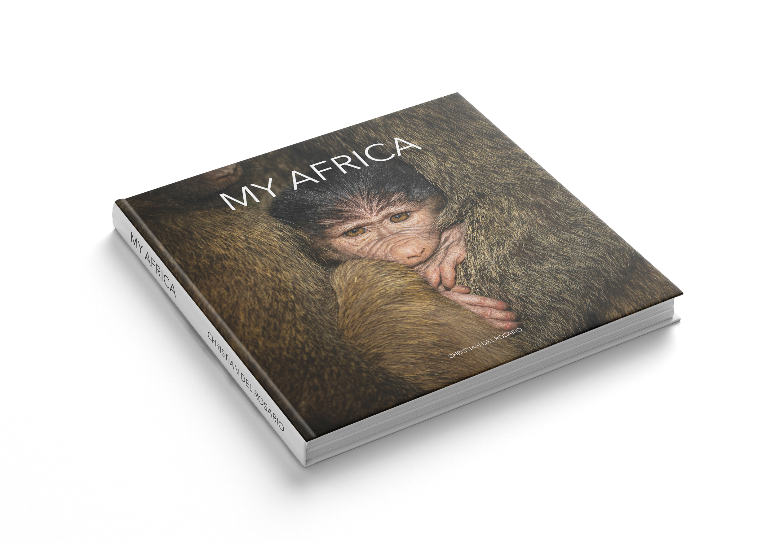 Square_Book_Mockup_thick.PNG
