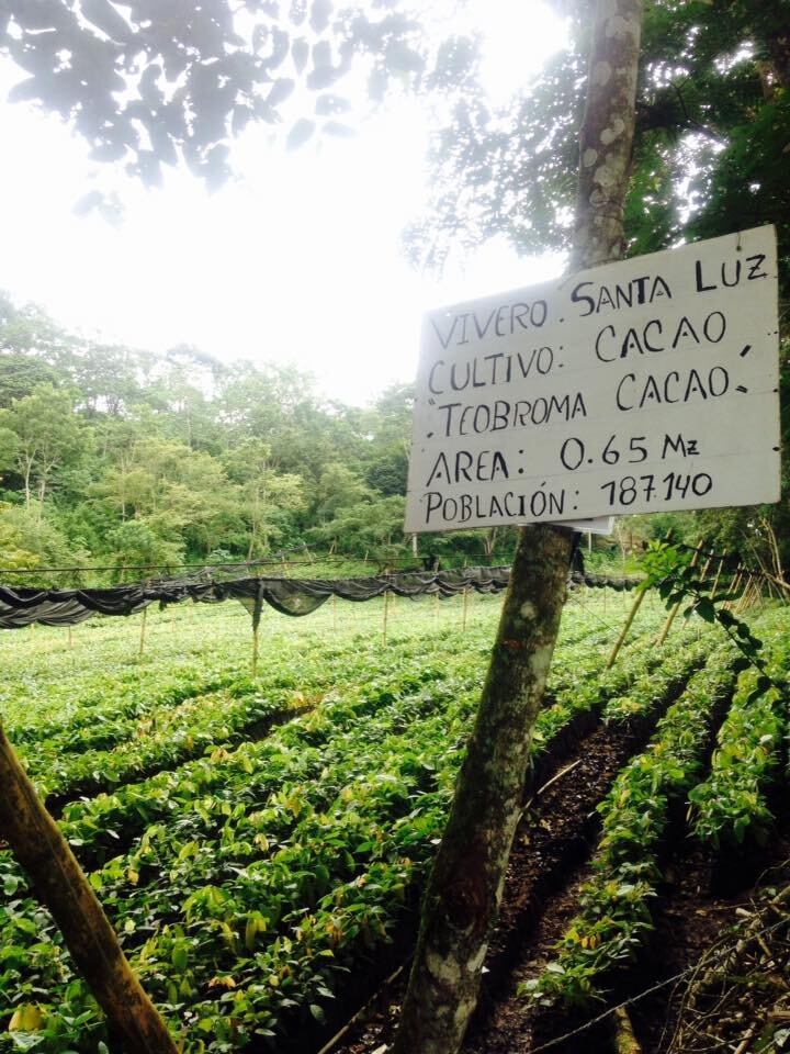 cocoa farm signage.jpg