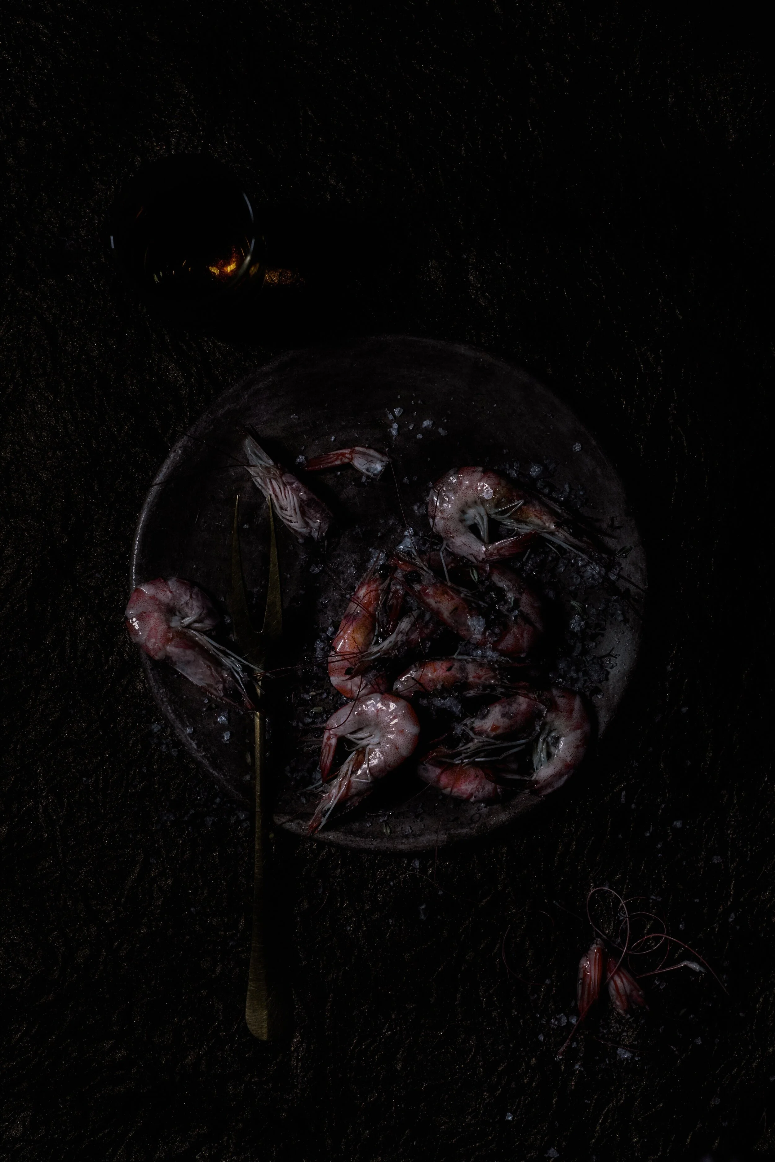 shrimp_heidi_final-2 (1).jpg