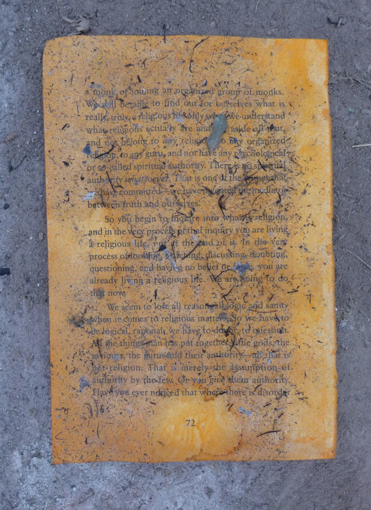 L1100534.JPG