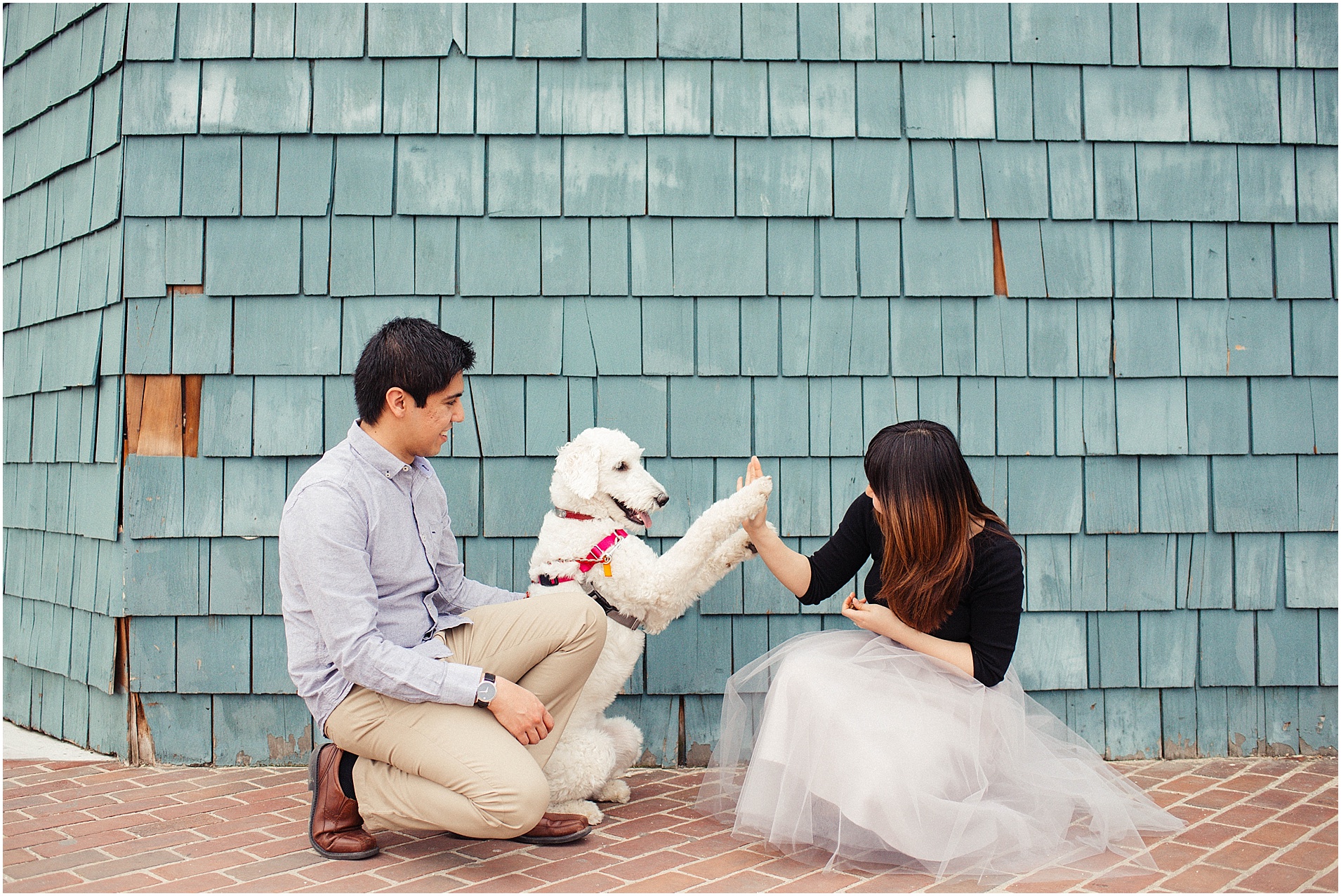 Old Town Alexandria Engagement Session with Goldendoodle puppy at Fletcher's Boathouse