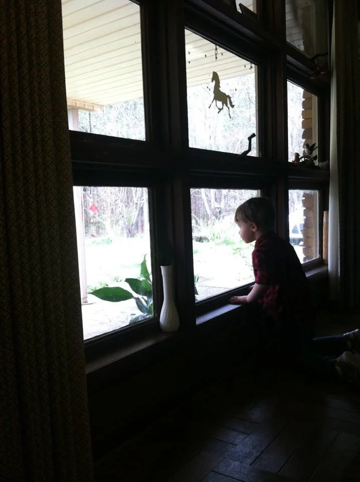 A great grandson entranced by something (photo cred. Susie Smith)