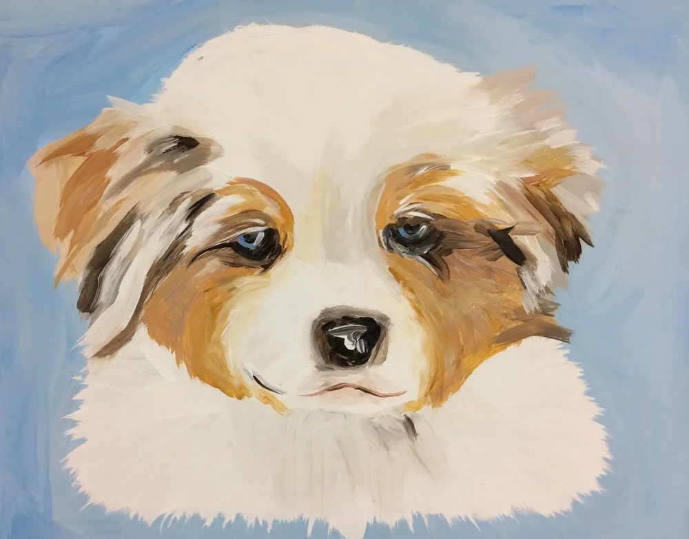 Paint Your Pet 4/28