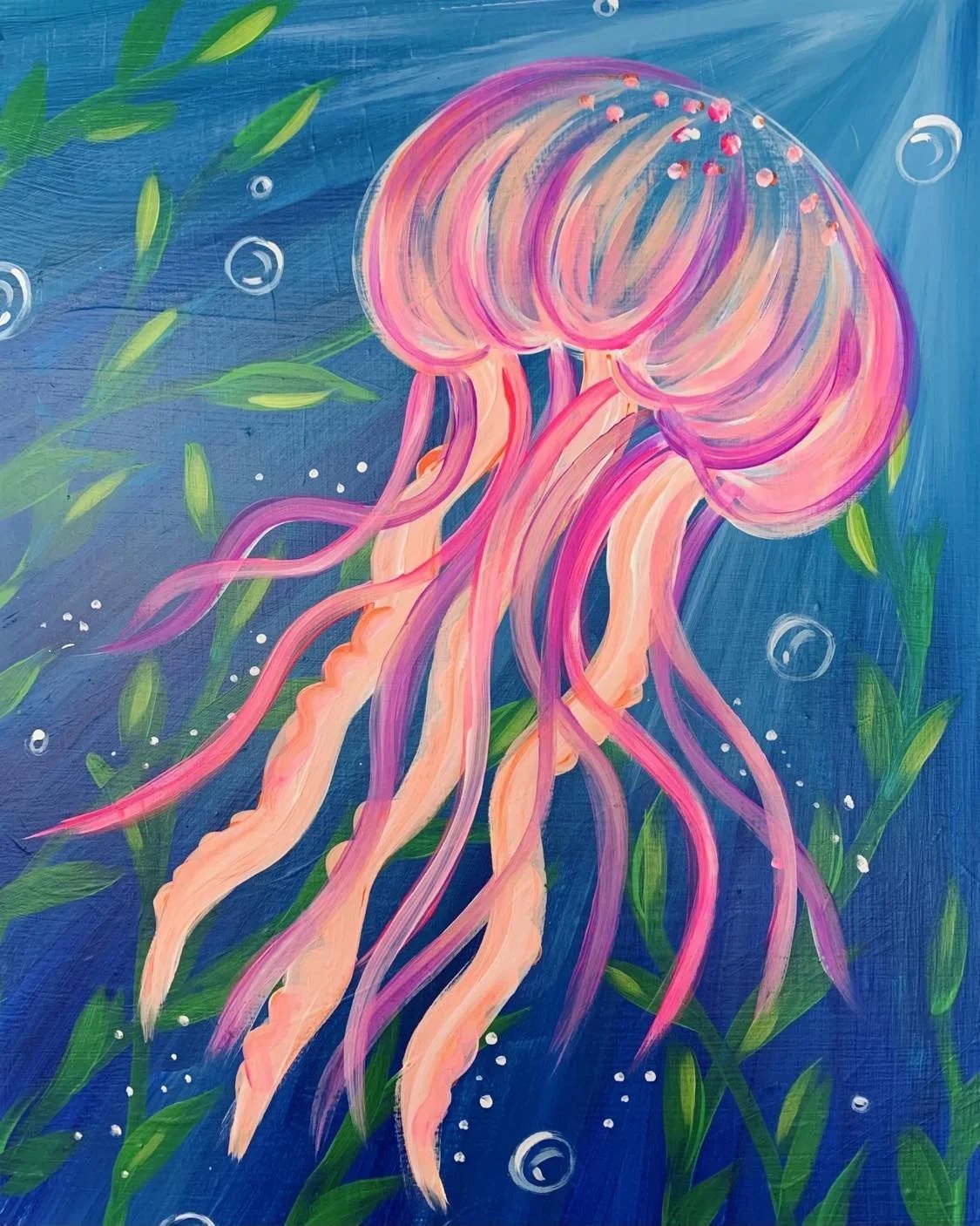Jellyfish