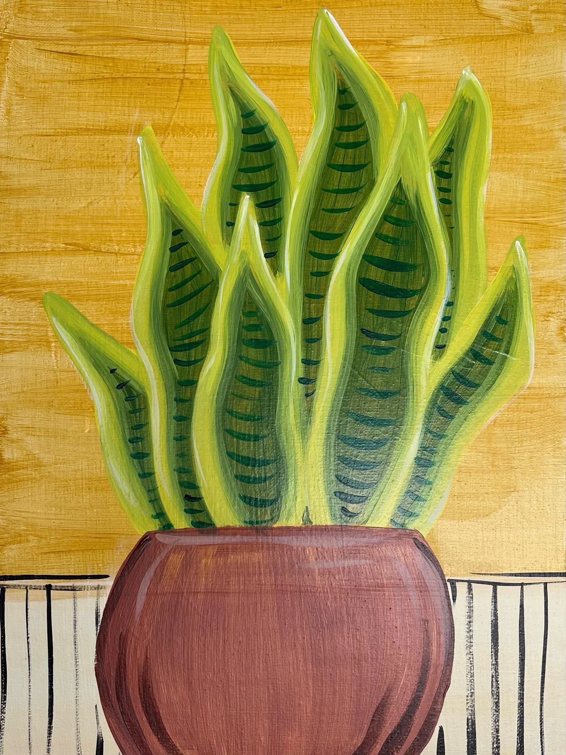 Snake Plant