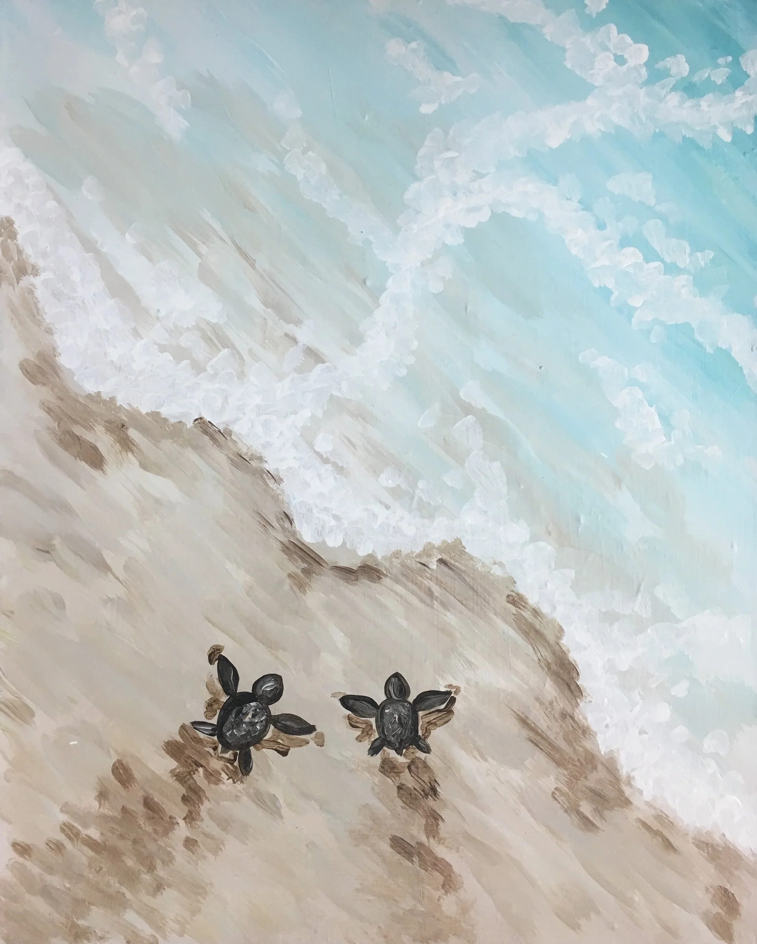 All Ages: Sea Turtles 10/4/26 12:30-2pm