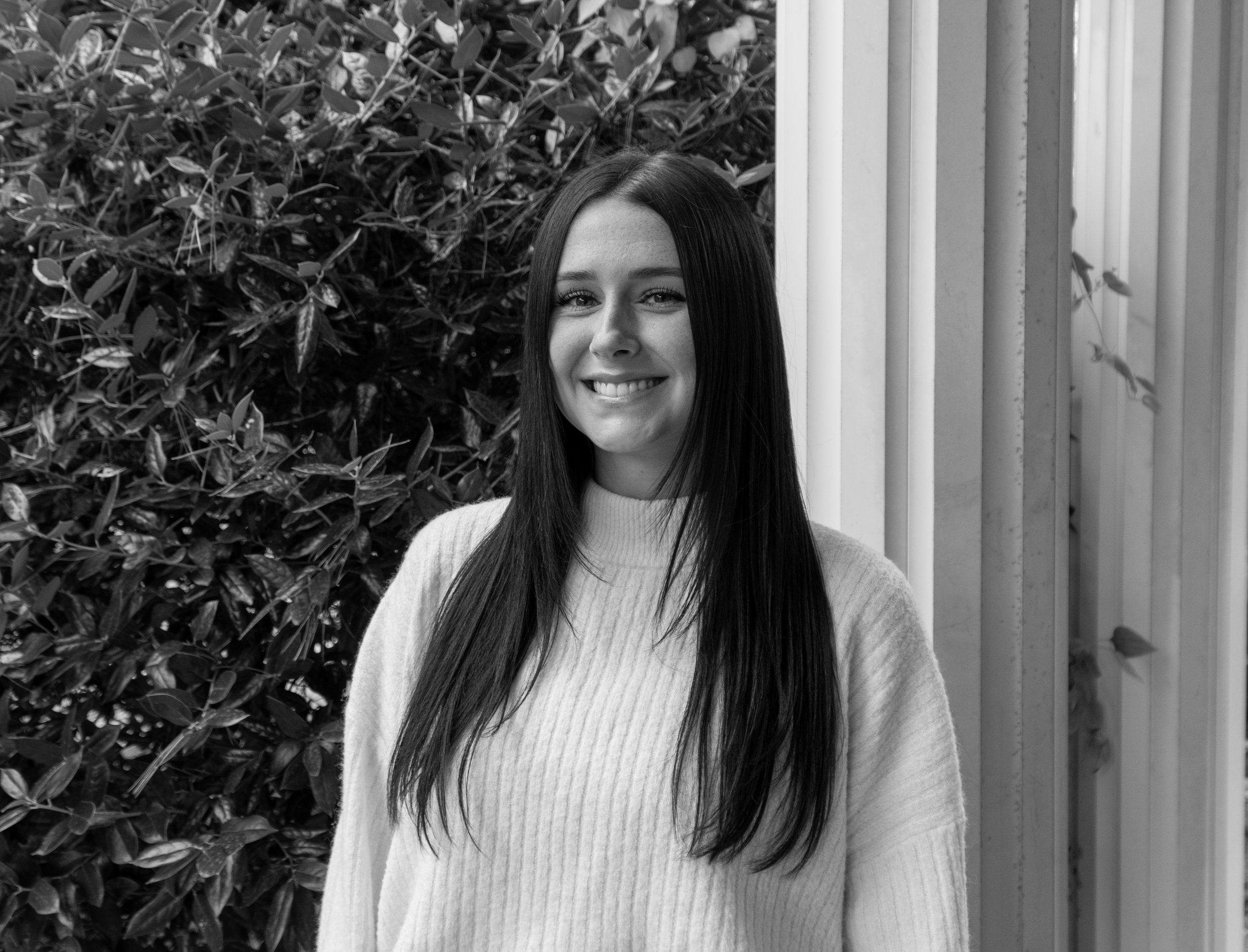 About — BIG YELLOW DOG