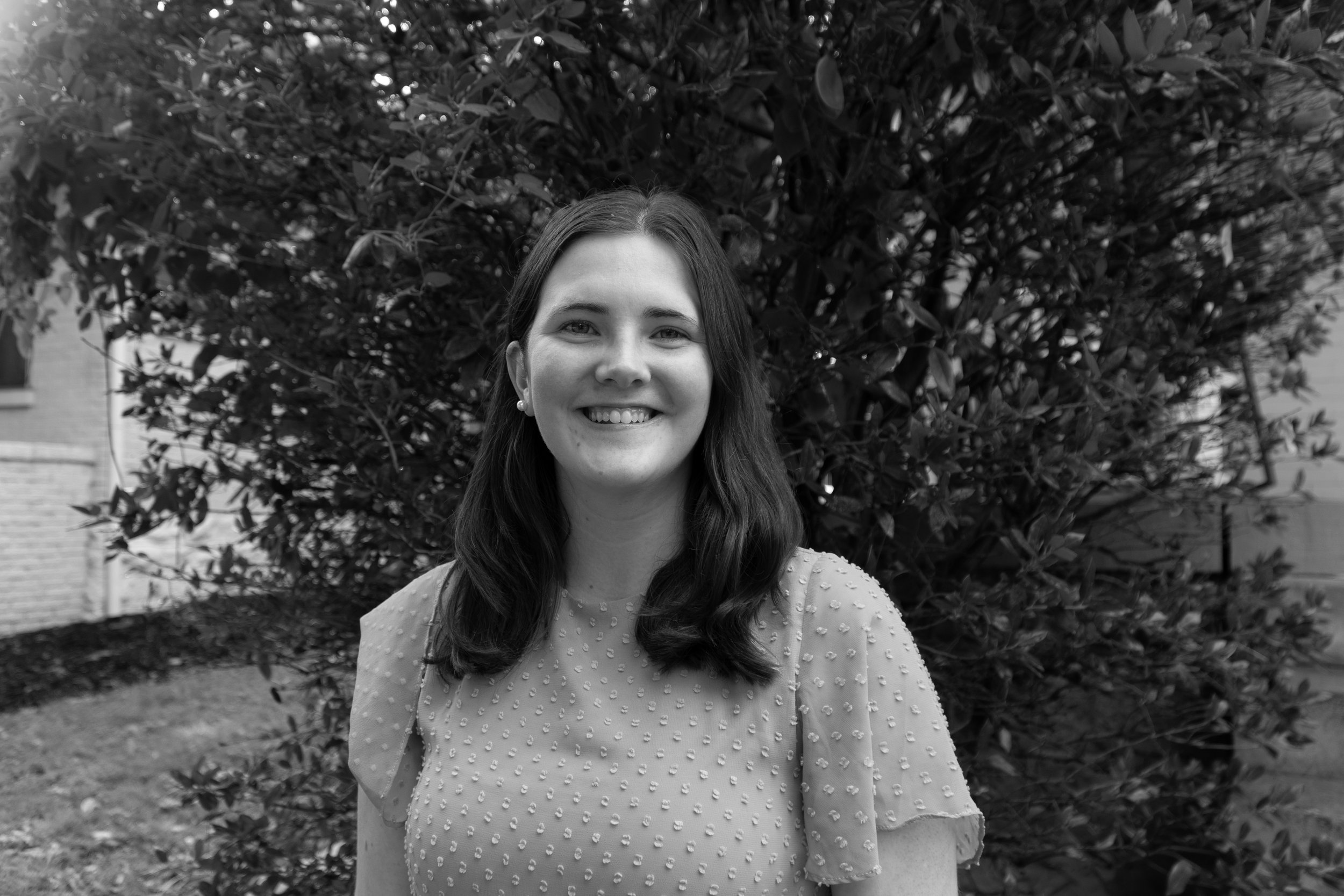 About — BIG YELLOW DOG