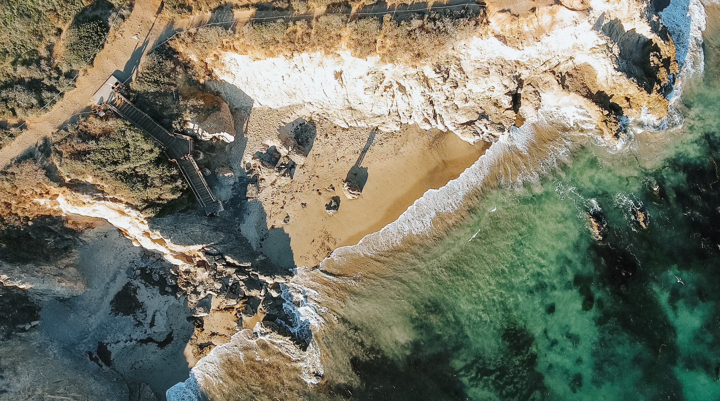 Screen Shot 2019-08-24 at 1.05.57 PM.jpg