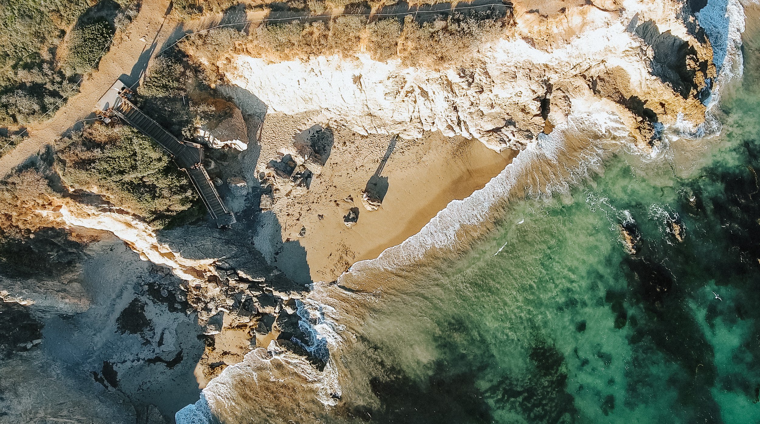 Screen Shot 2019-08-24 at 1.05.57 PM.jpg