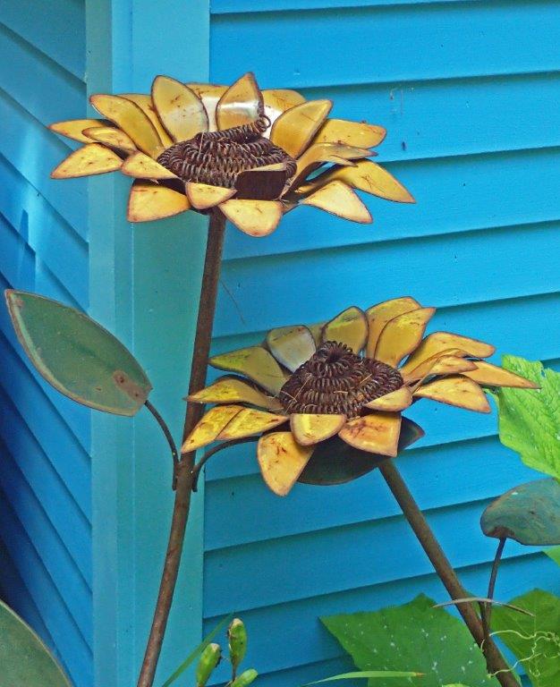 Sunflower - Carole Kincaid