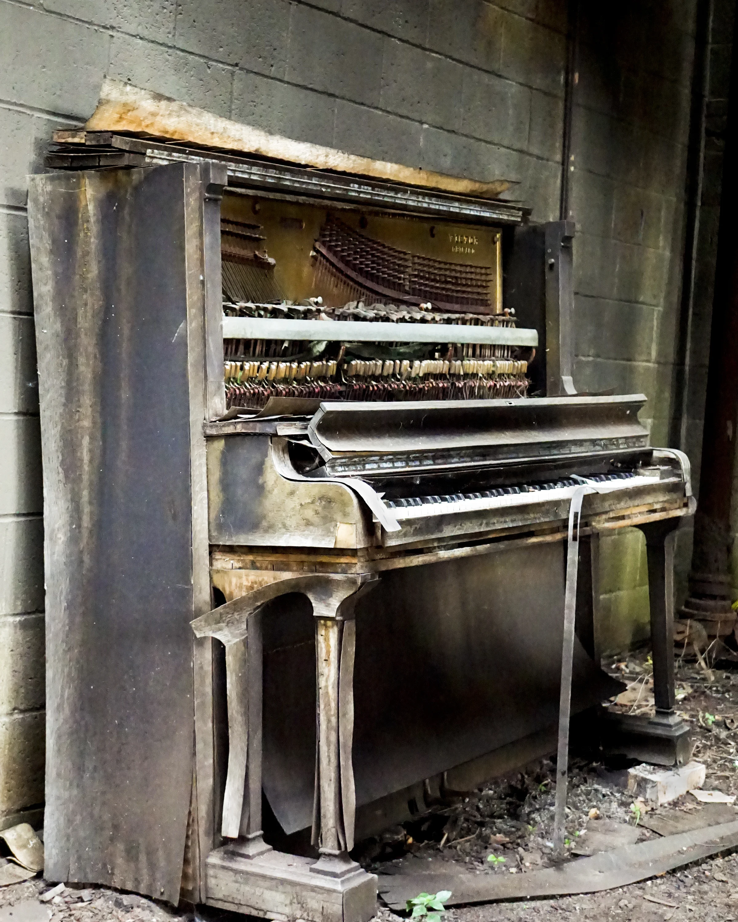 2nd place - Piano2 Patricia Munford
