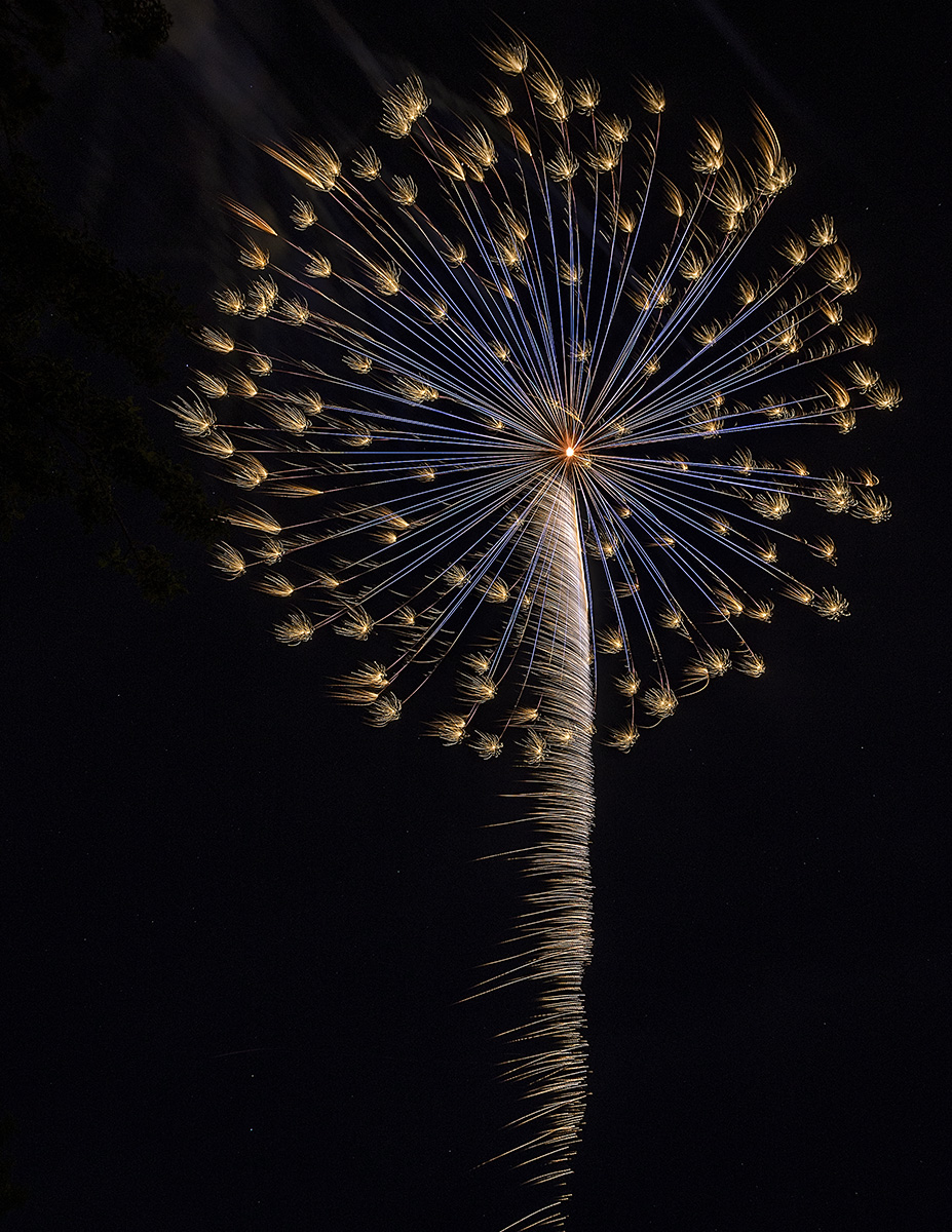 3rd place - Cudahy Fireworks  Gary Peel 