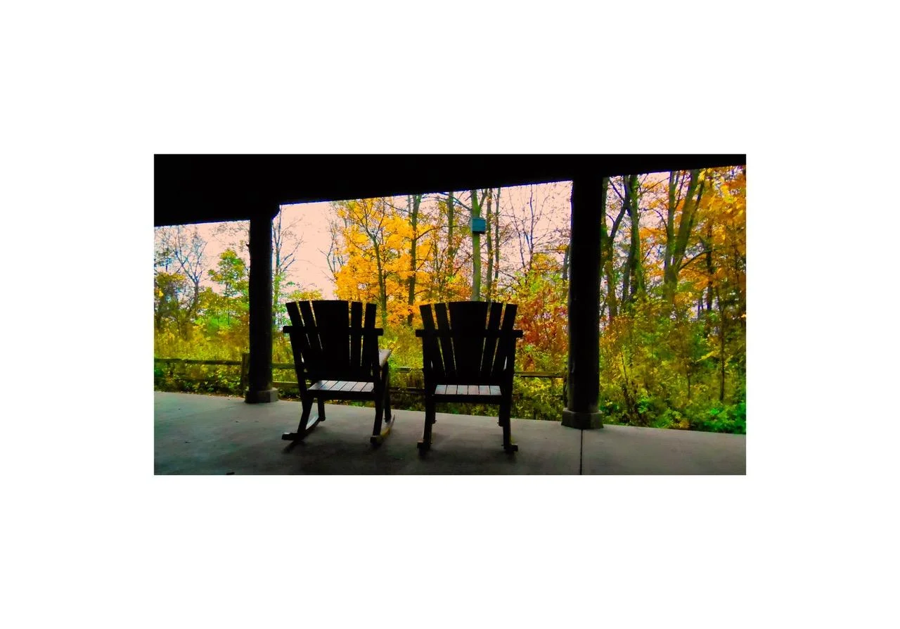 A View from the Porch - John Gray